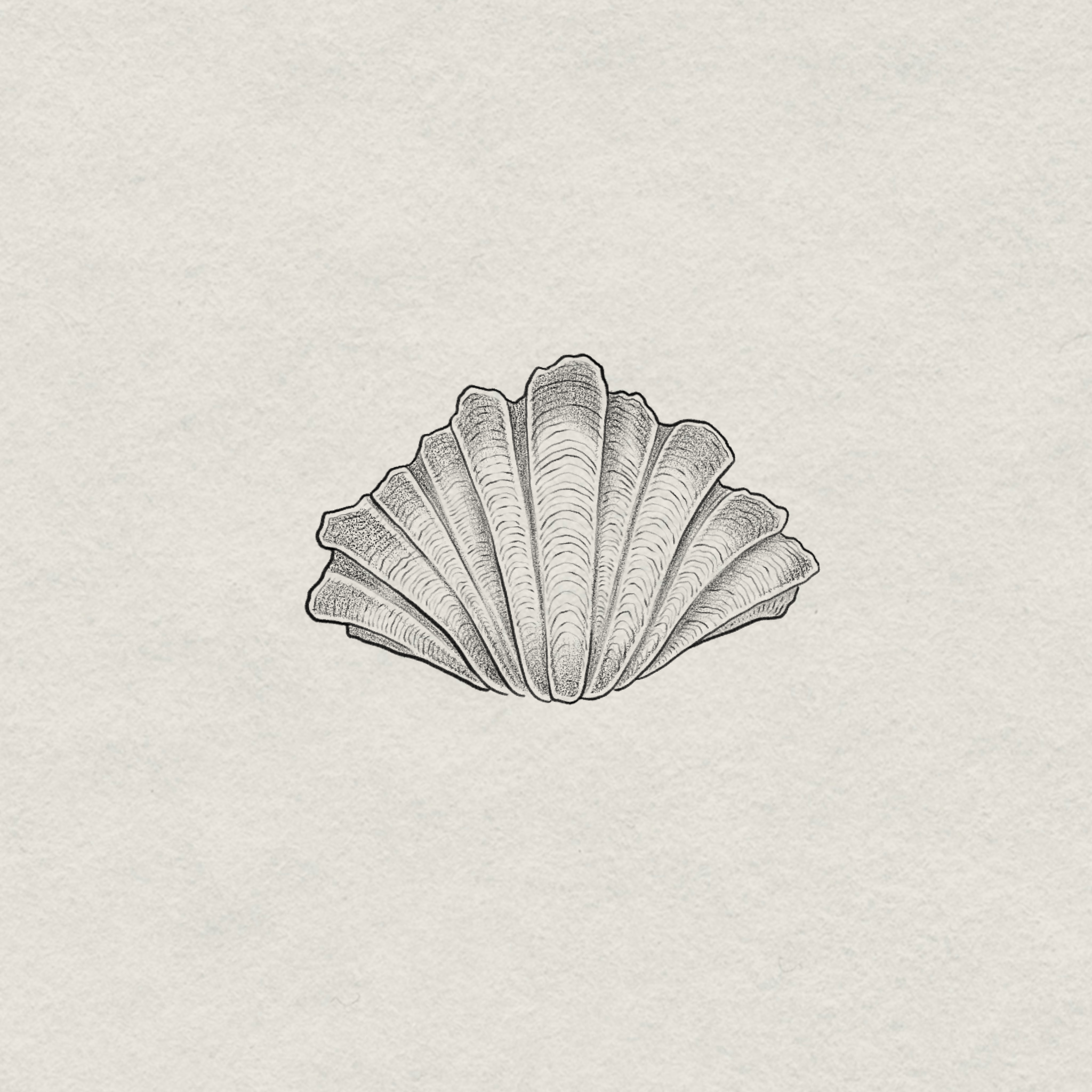 IMG_8343.png