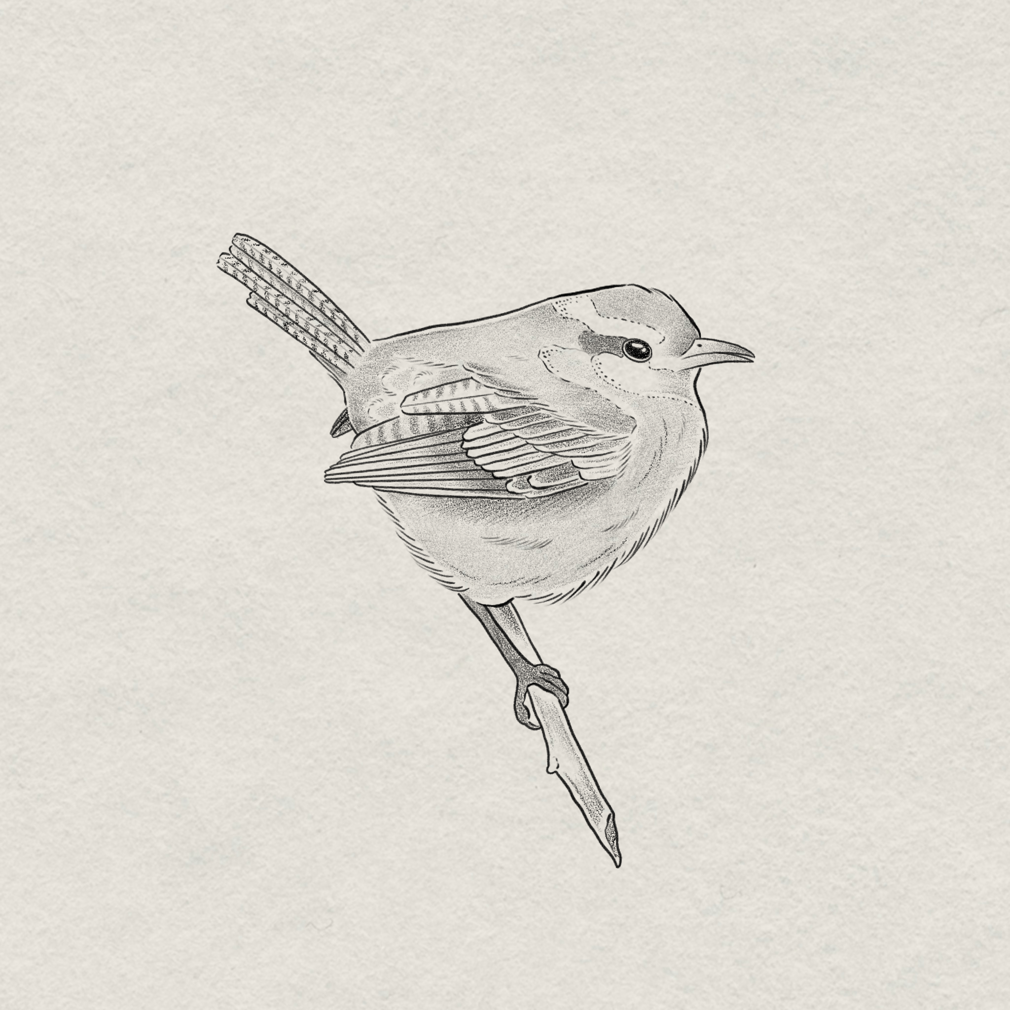 IMG_8346.png