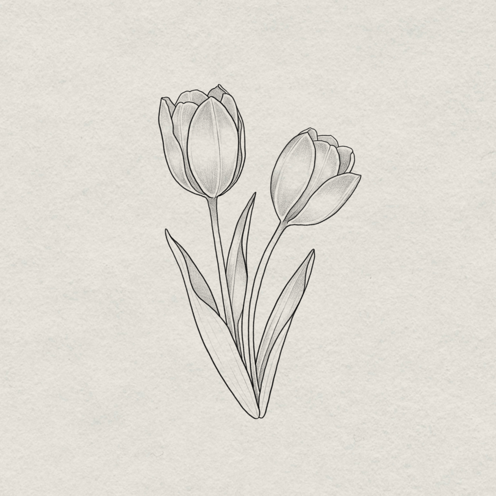 IMG_8337.png