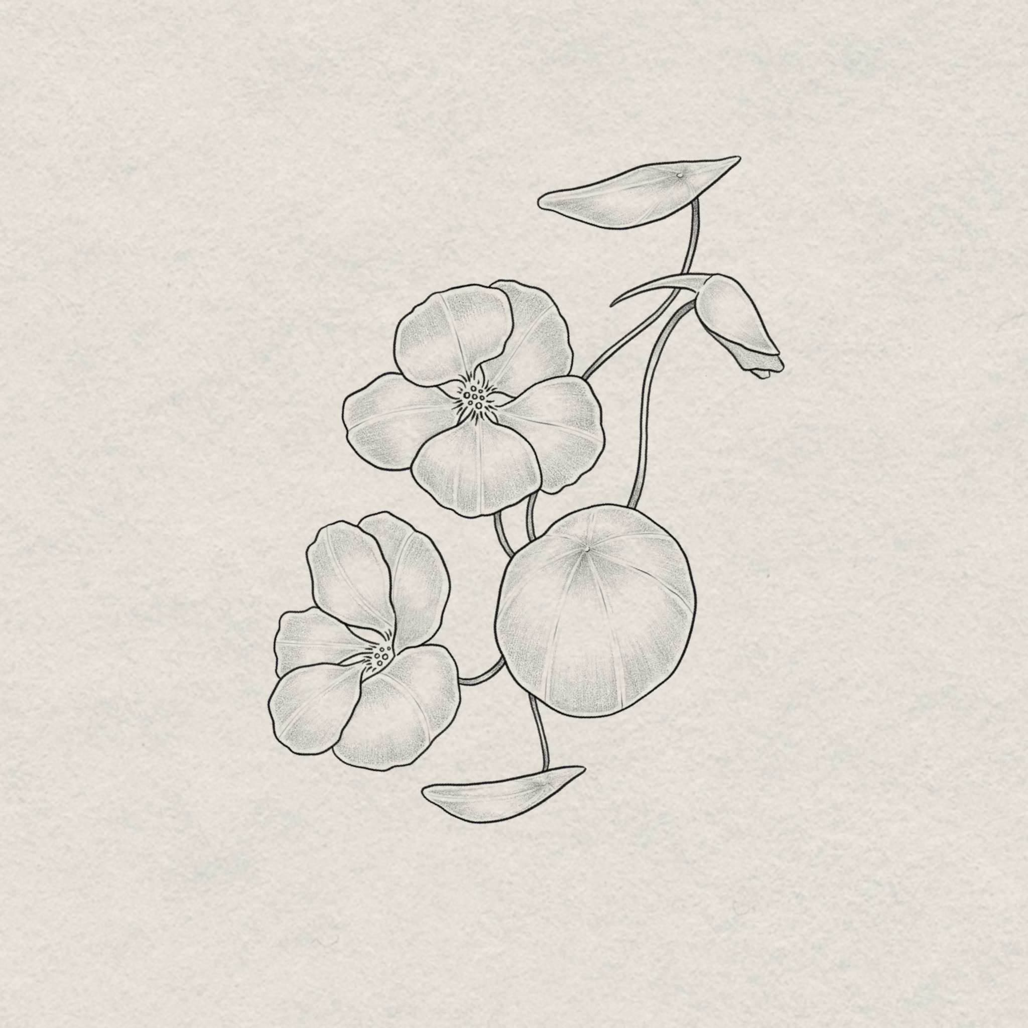 IMG_8341.png