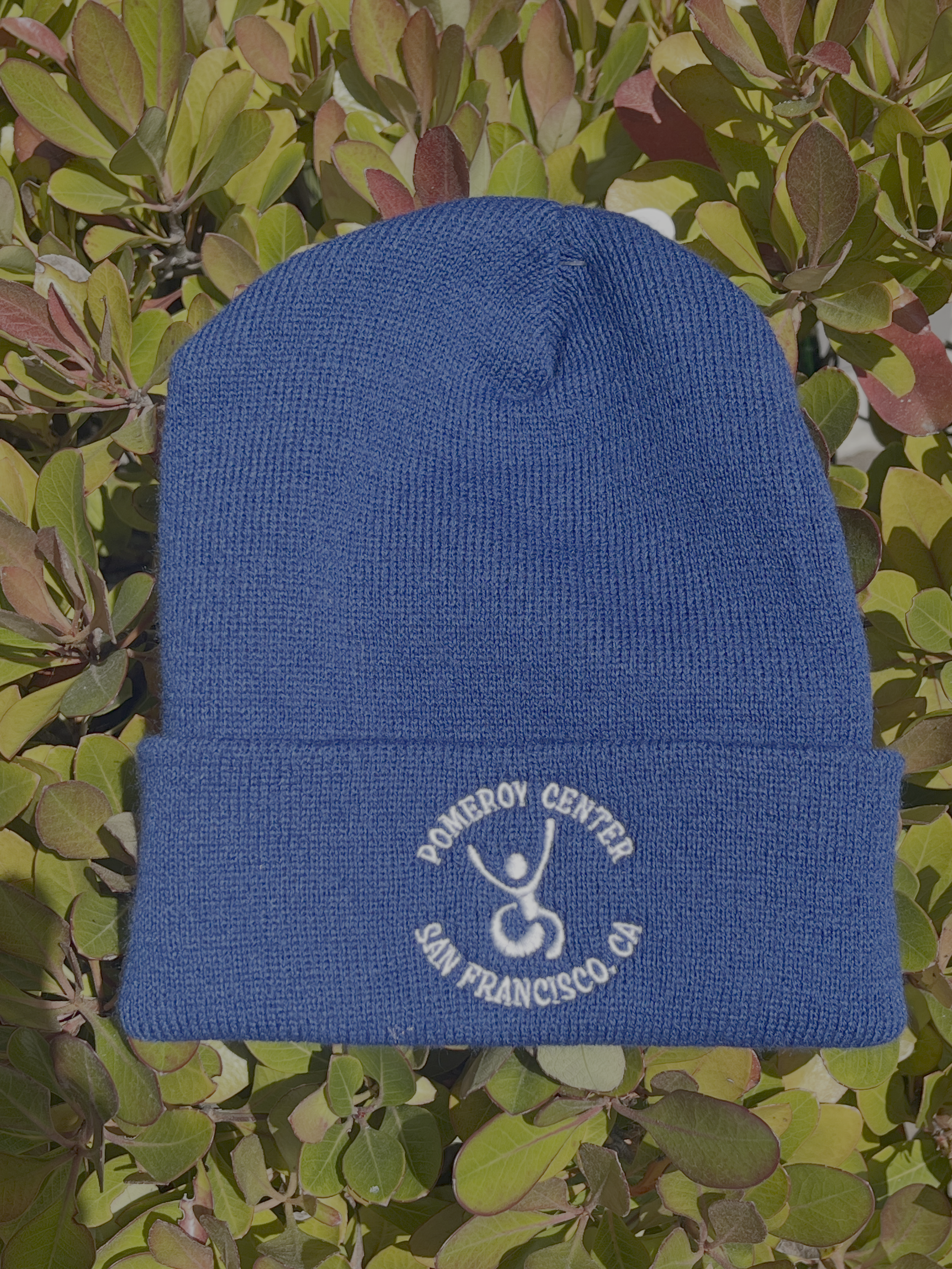 Pomeroy Beanie