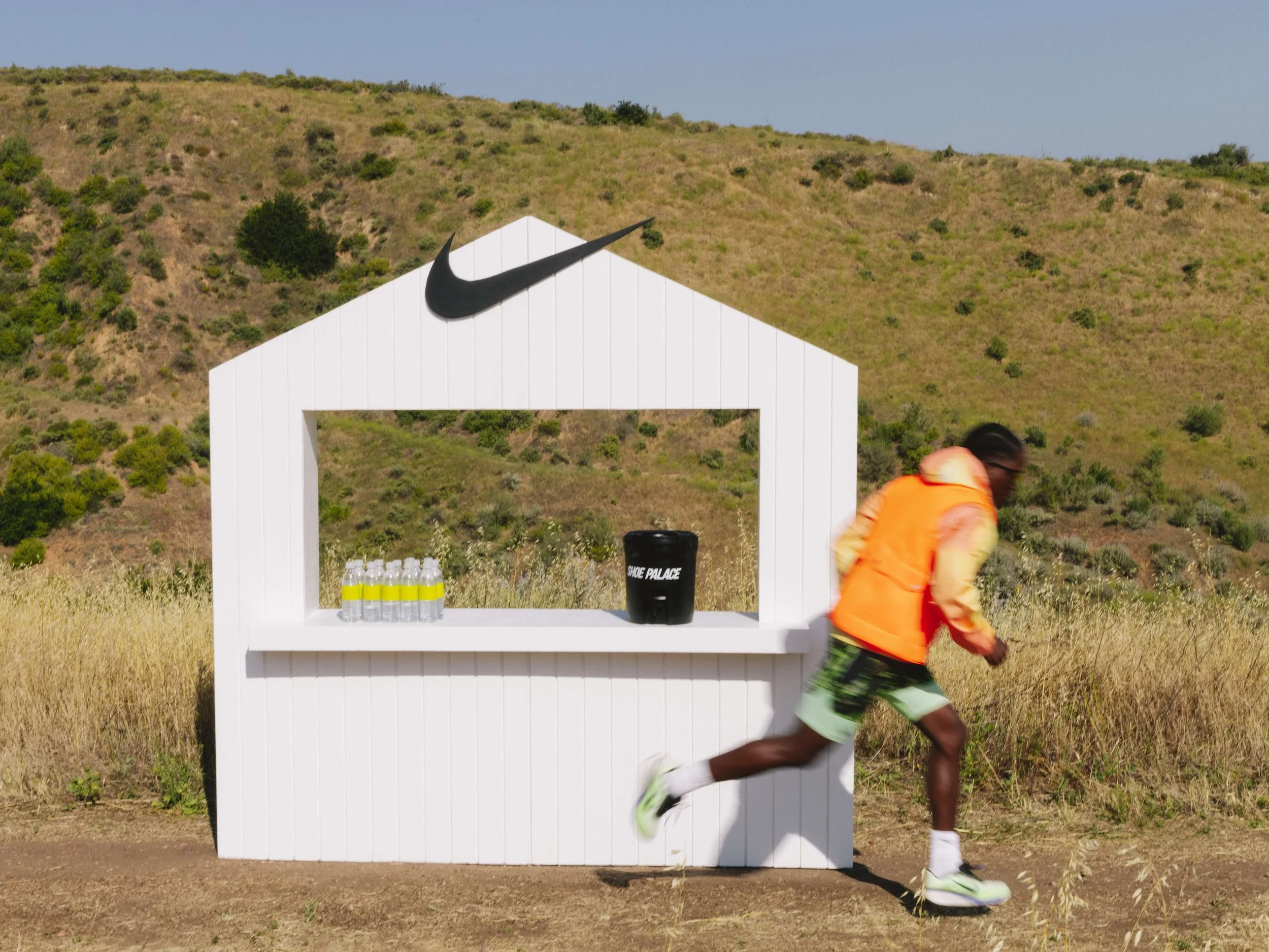 NIKE_PEGASUS_RE-10.jpg