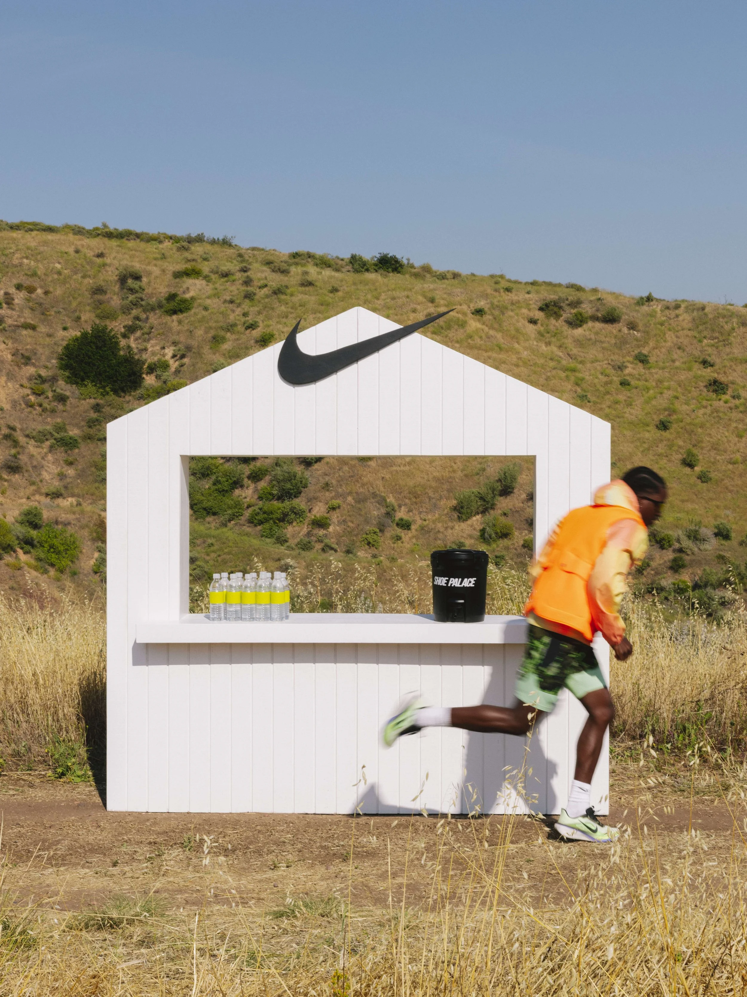 NIKE_PEGASUS_RE-11.jpg