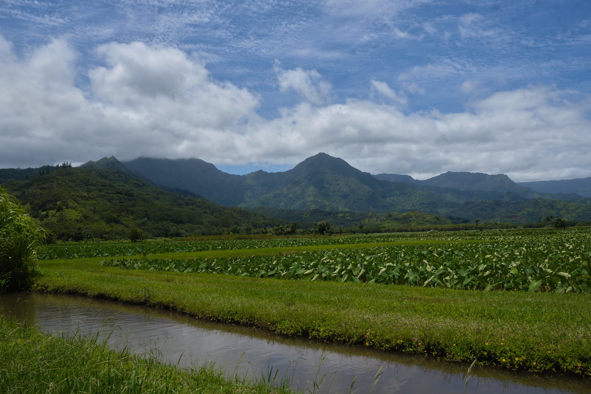 DSCF0748.jpg