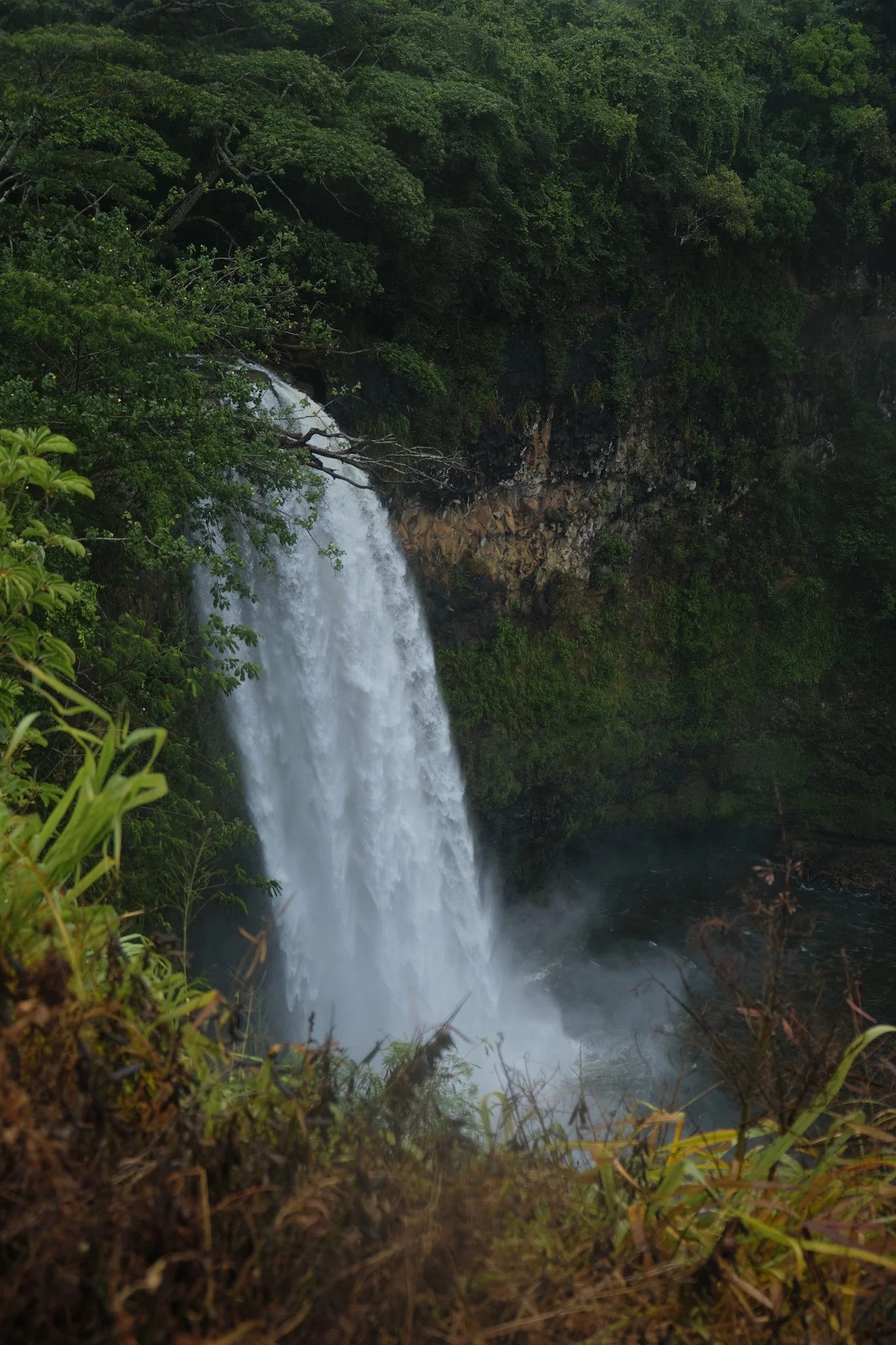 DSCF0158.jpg
