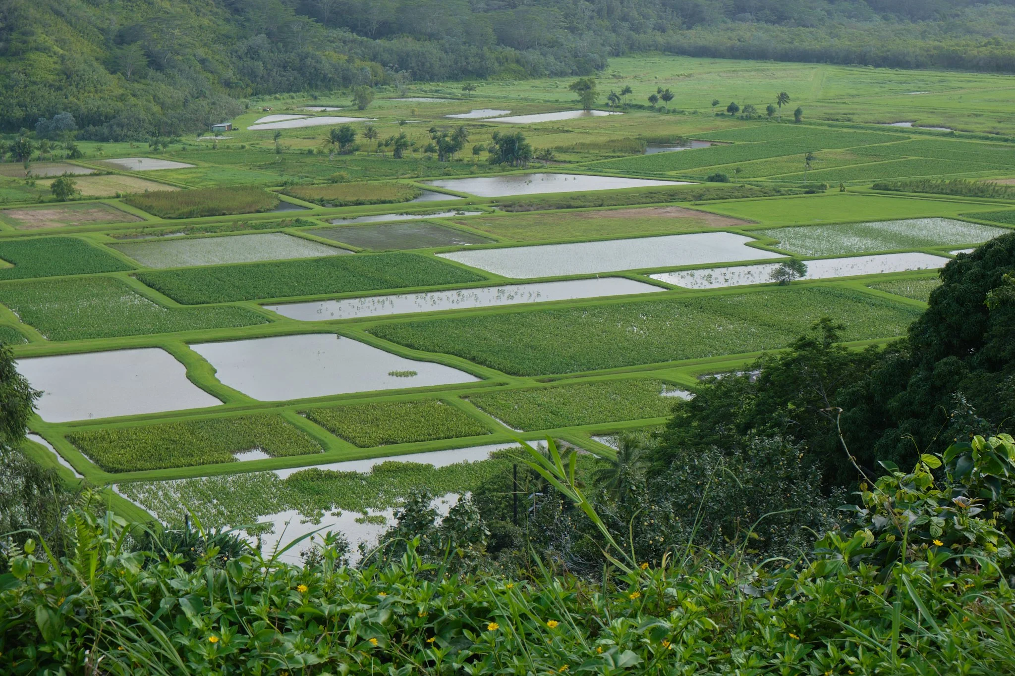 DSCF0585.jpg