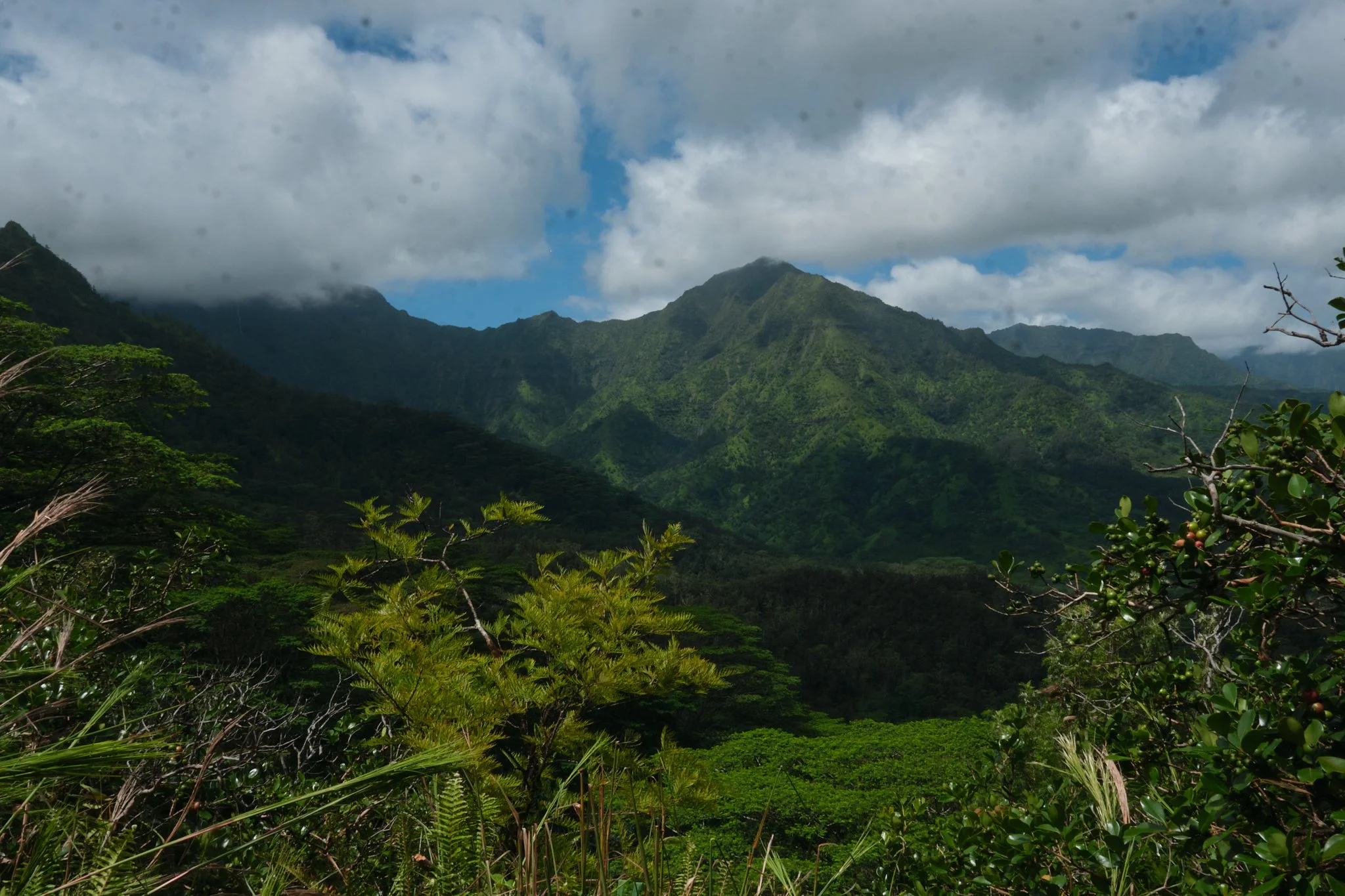 DSCF0719.jpg