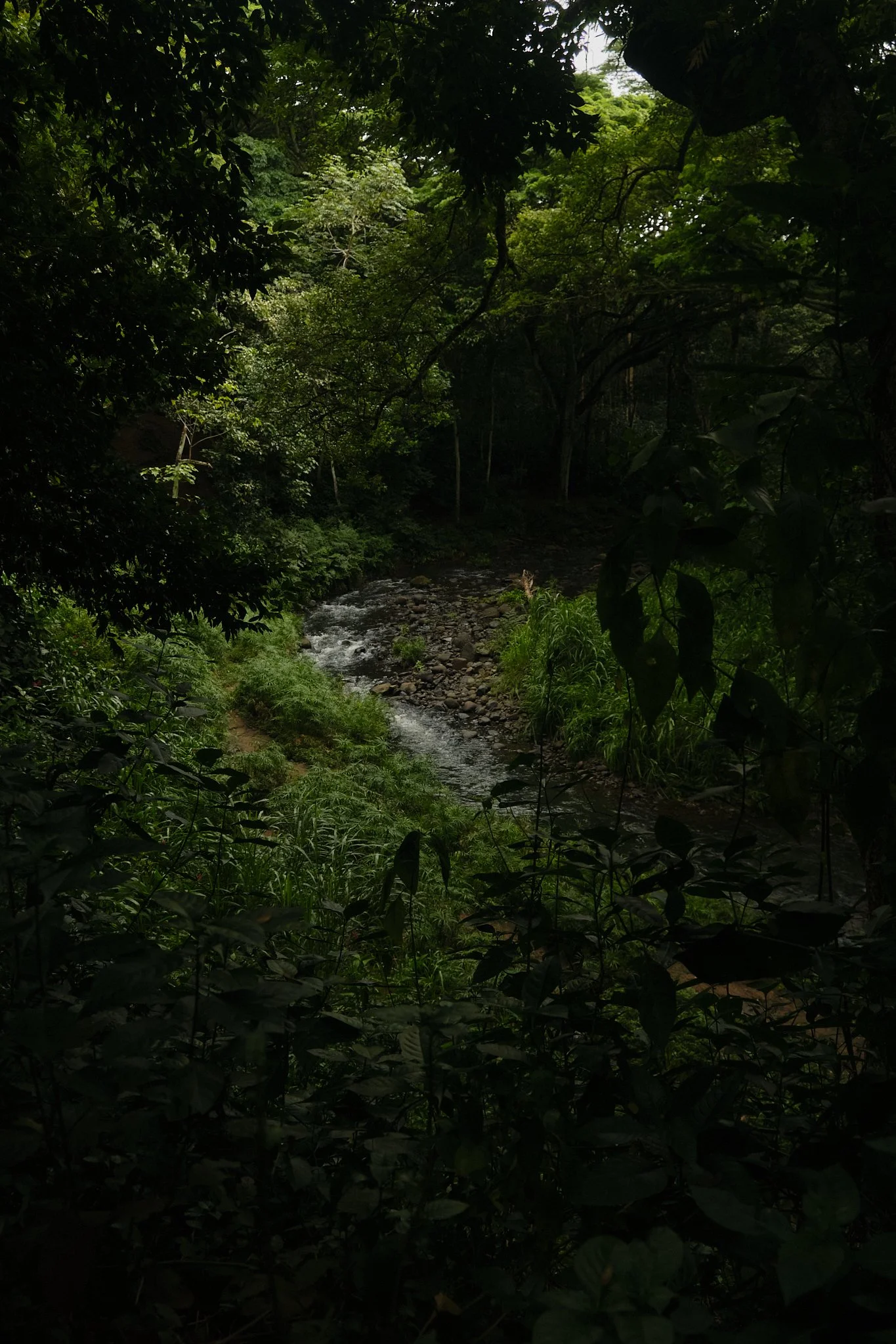 DSCF1394.jpg