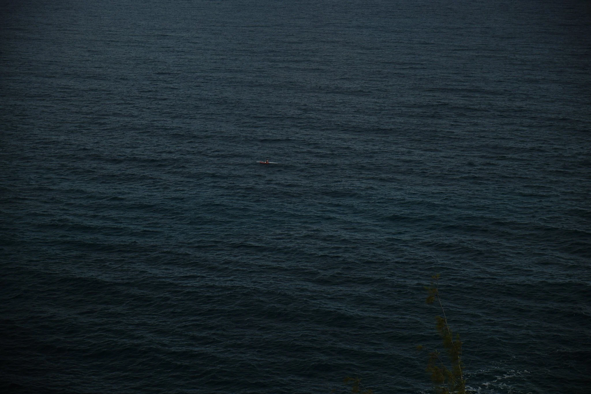 DSCF0865.jpg