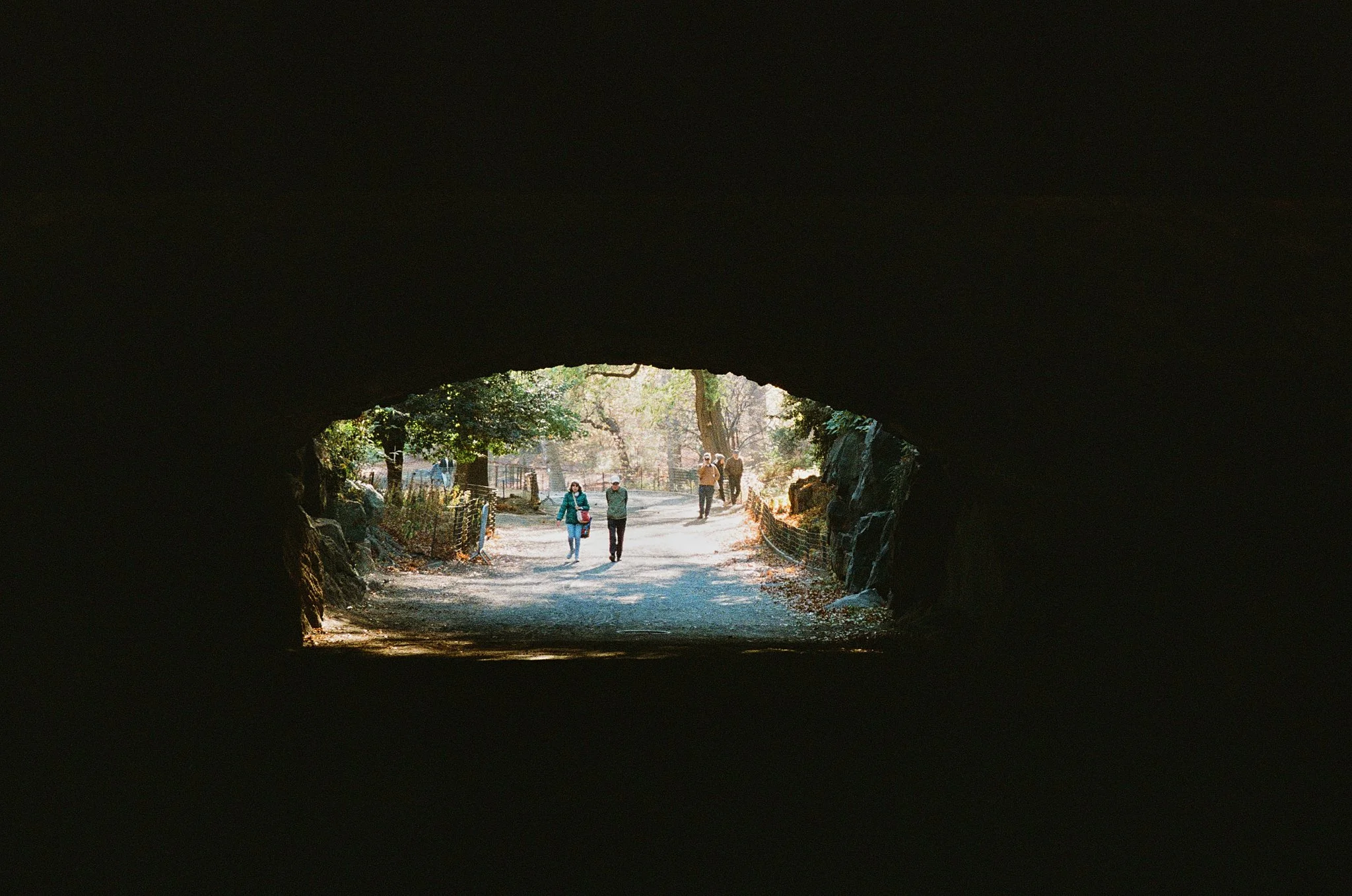Outdoors & Landscapes