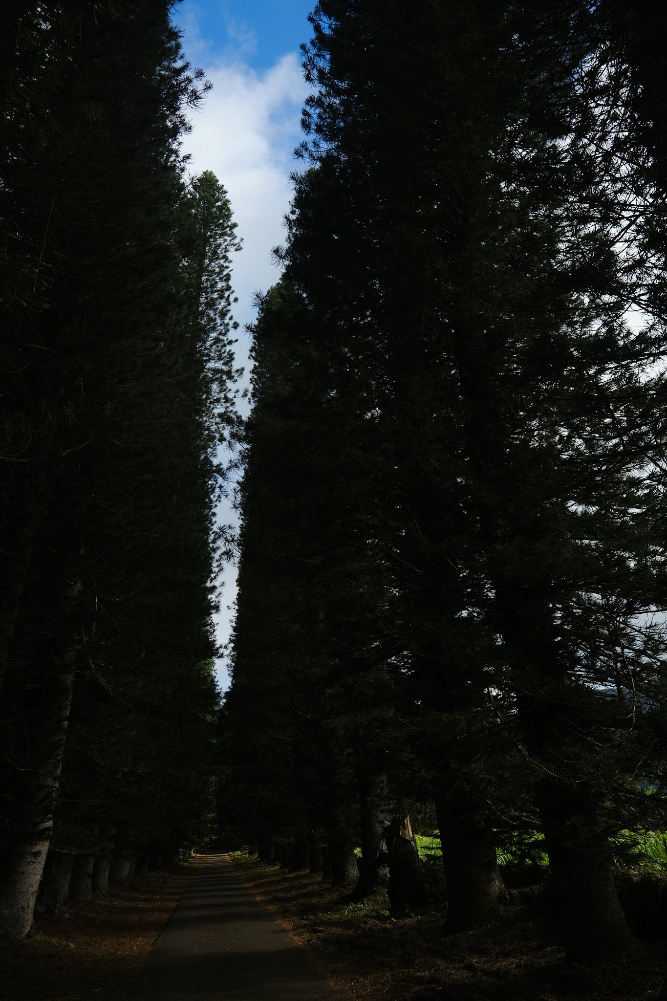 DSCF1767.jpg