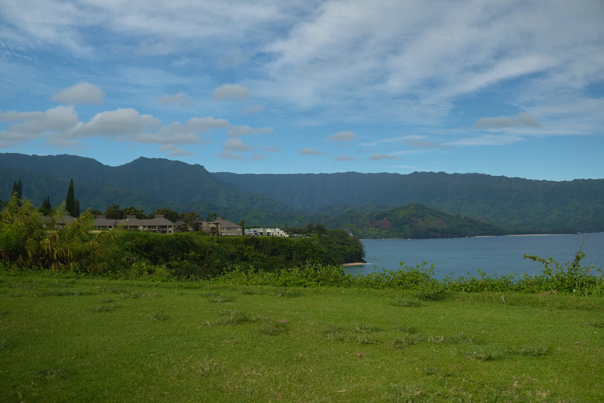 DSCF0835.jpg