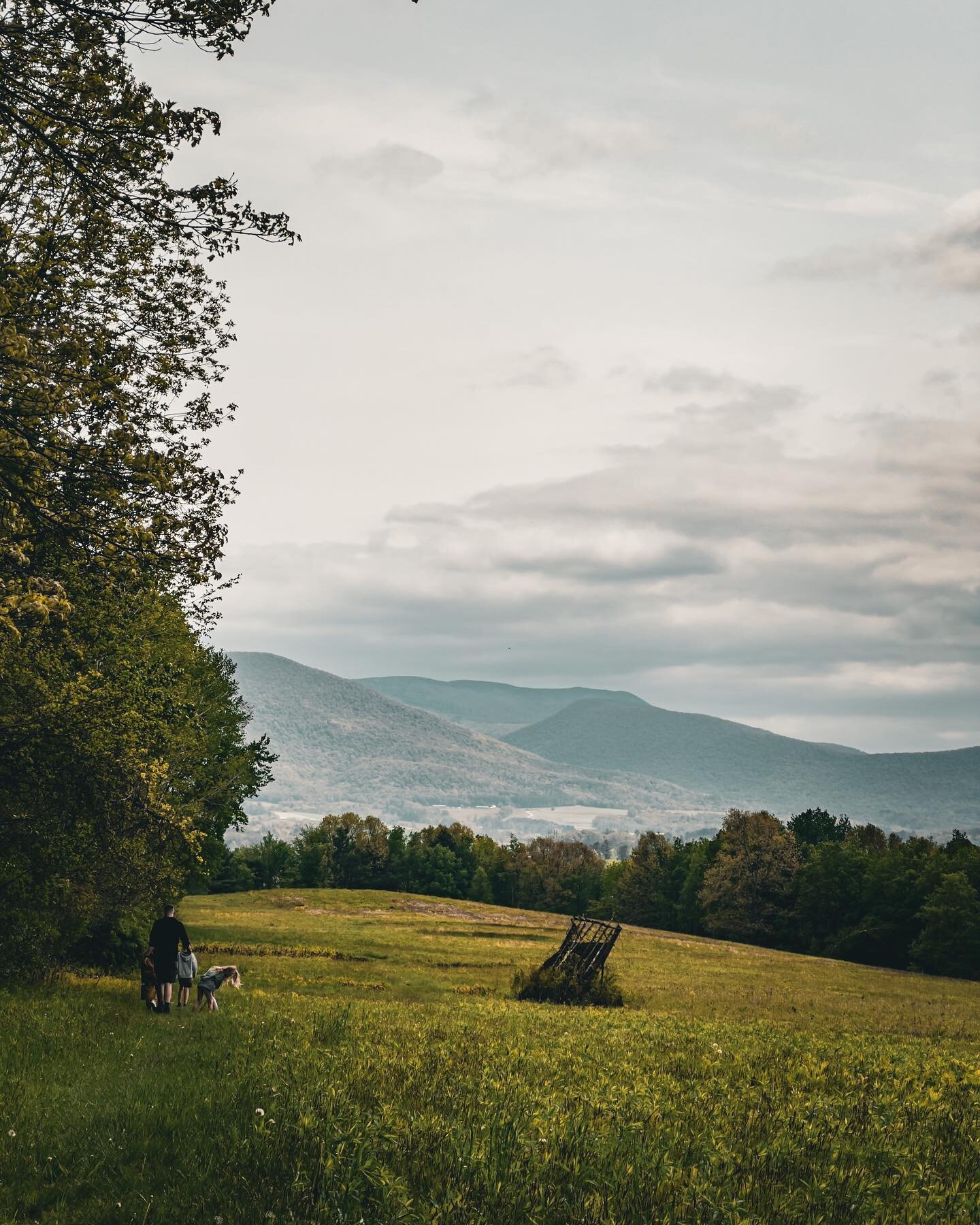 Mountains, Gandalf. ⛰️

Happy Sunday from the Shire.

#berkshirefamilyhikes #locallysourcedoutdooradventure #intheberkshires #visittheberkshires #hikingwithkids #optoutside #getoutside #hiketheberkshires #nature #hiking #hikewithkids #walkingwithsnac