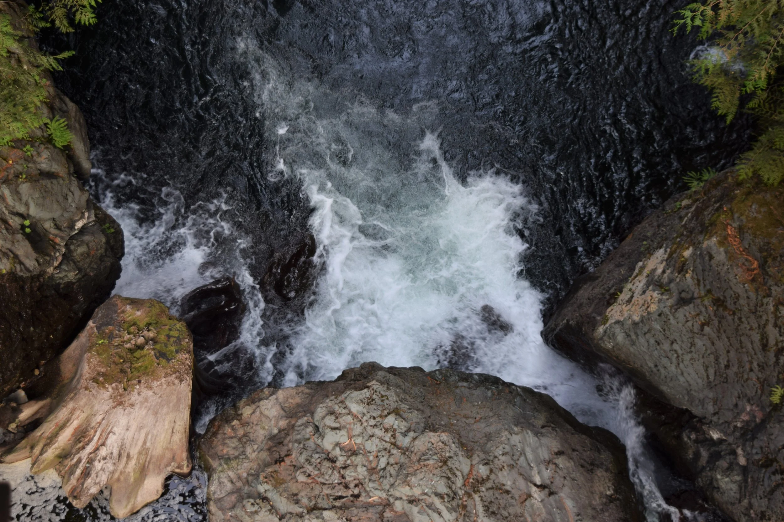 2021-08-03_DSC_5991 (2).JPG