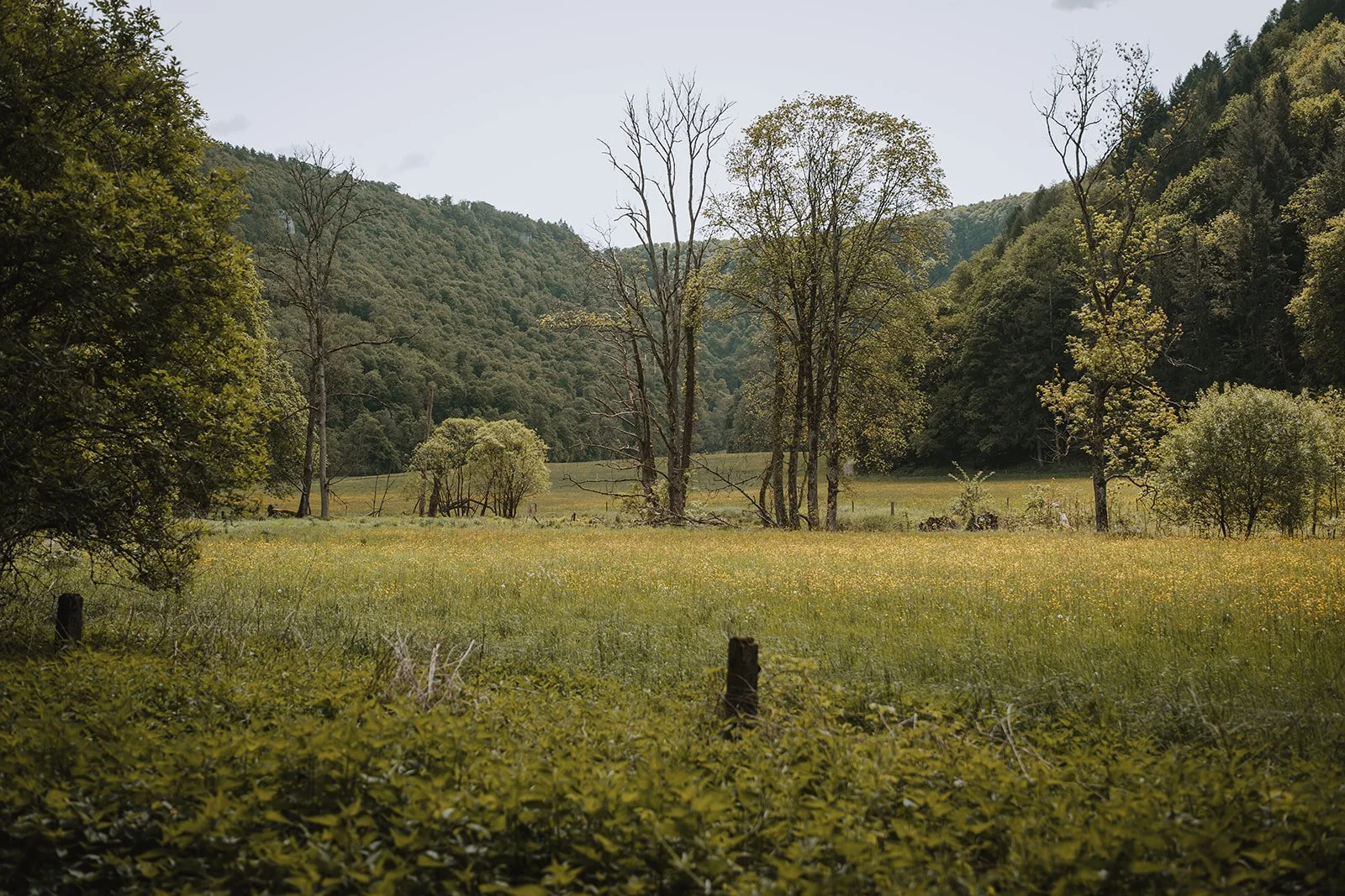 Nomadic Hearts_E&J 0293_websize.jpg