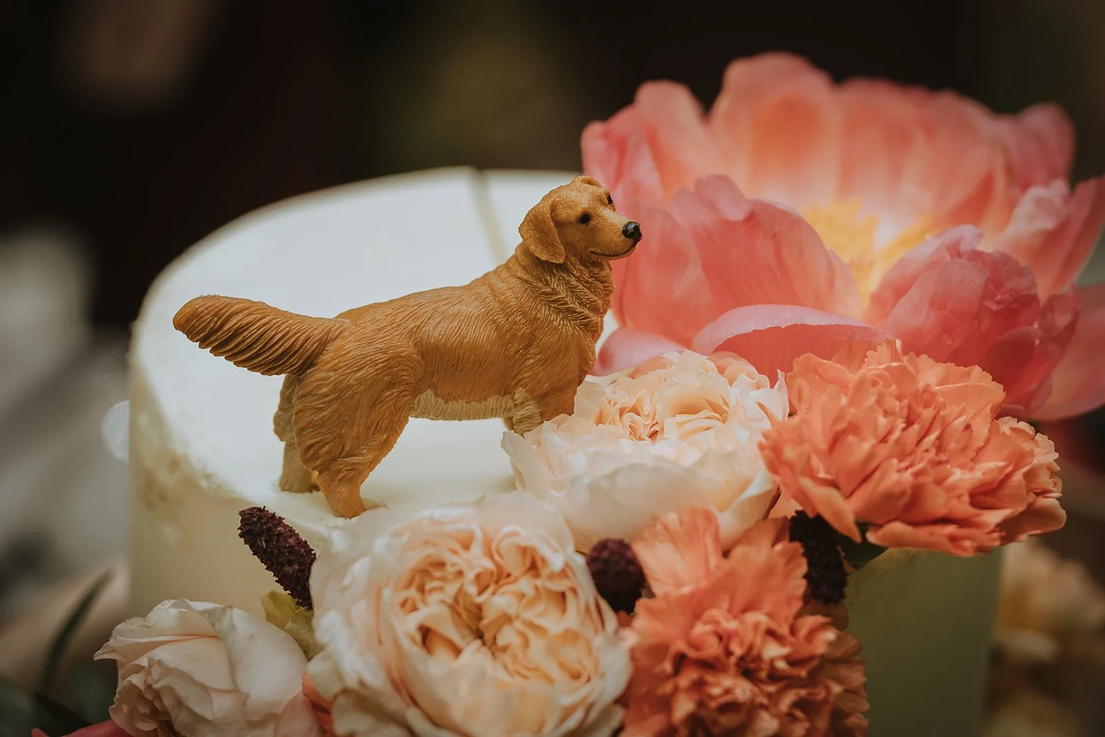 Nomadic Hearts_E&J 0391_websize.jpg