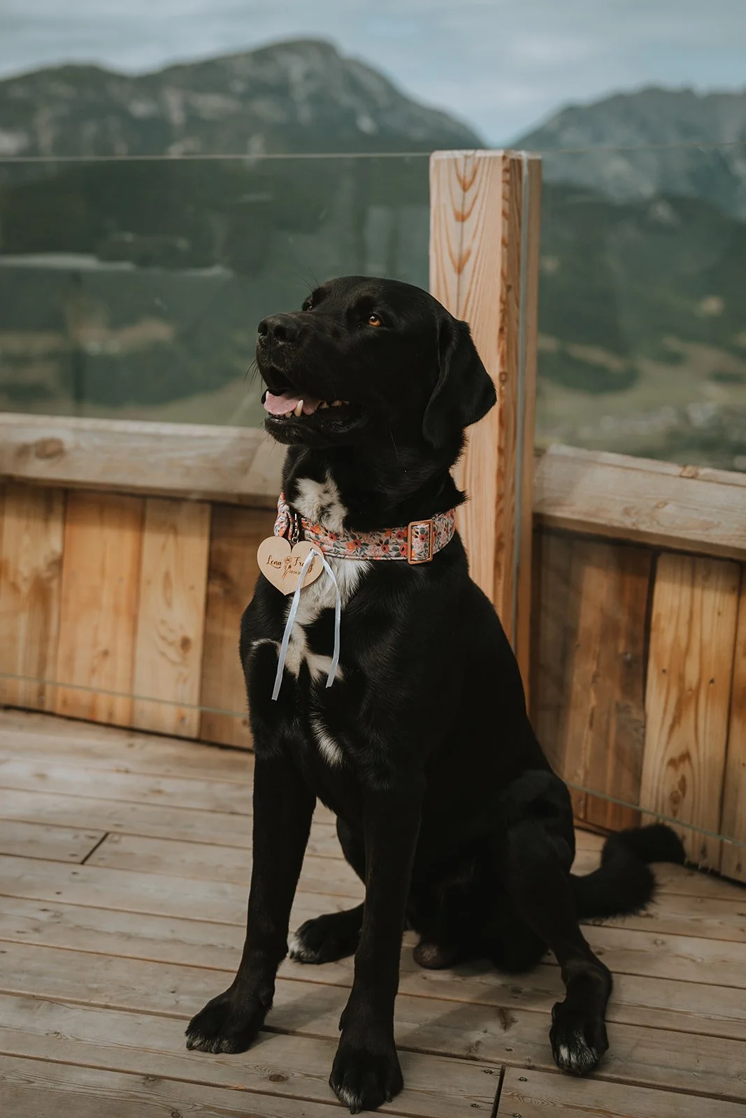 Nomadic Hearts_L&F 0564_websize.jpg