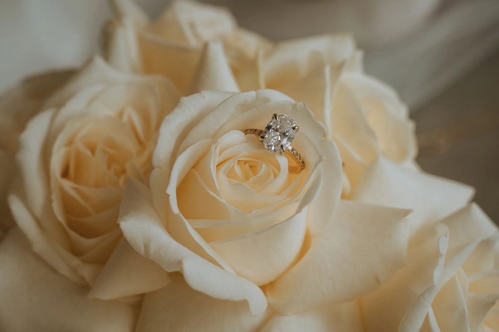 Nomadic Hearts_T&B 0005_websize.jpg