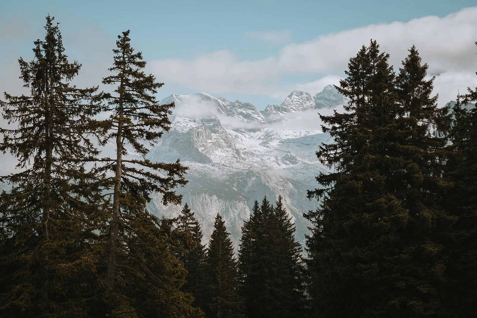 Nomadic Hearts_M&A 0032_websize.jpg