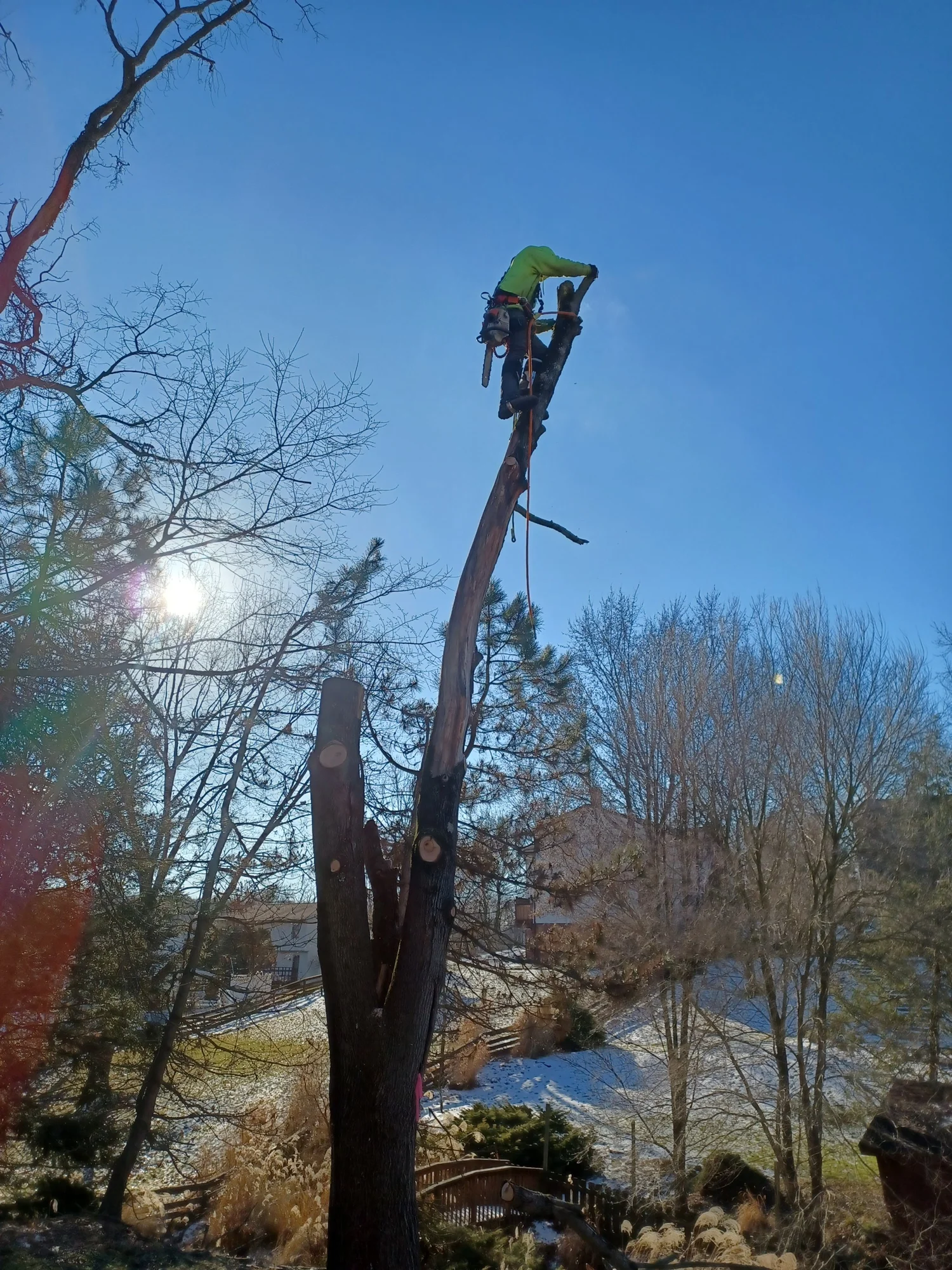 Pope Tree Service Paul's Tree Service
