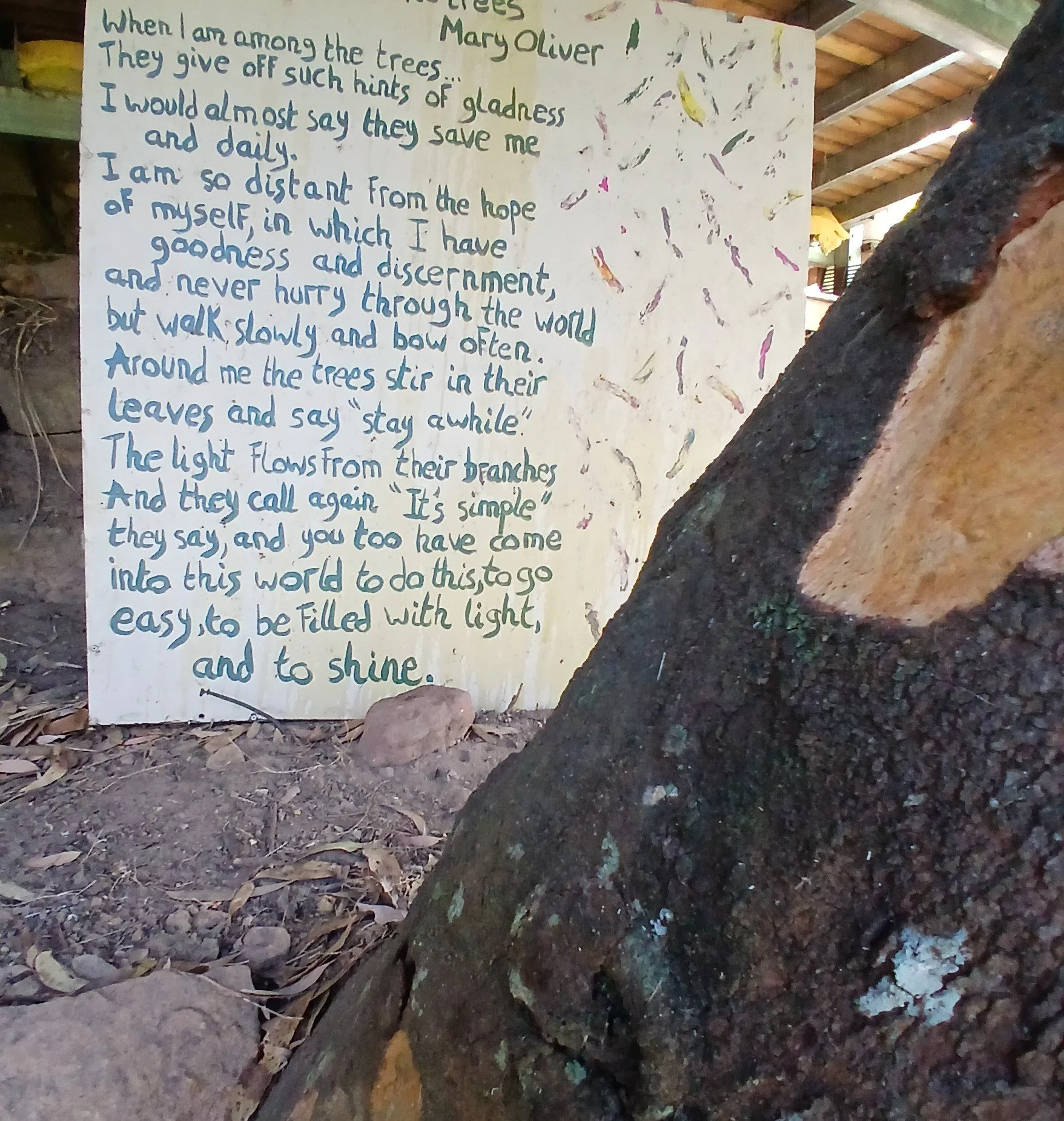 among trees.jpg