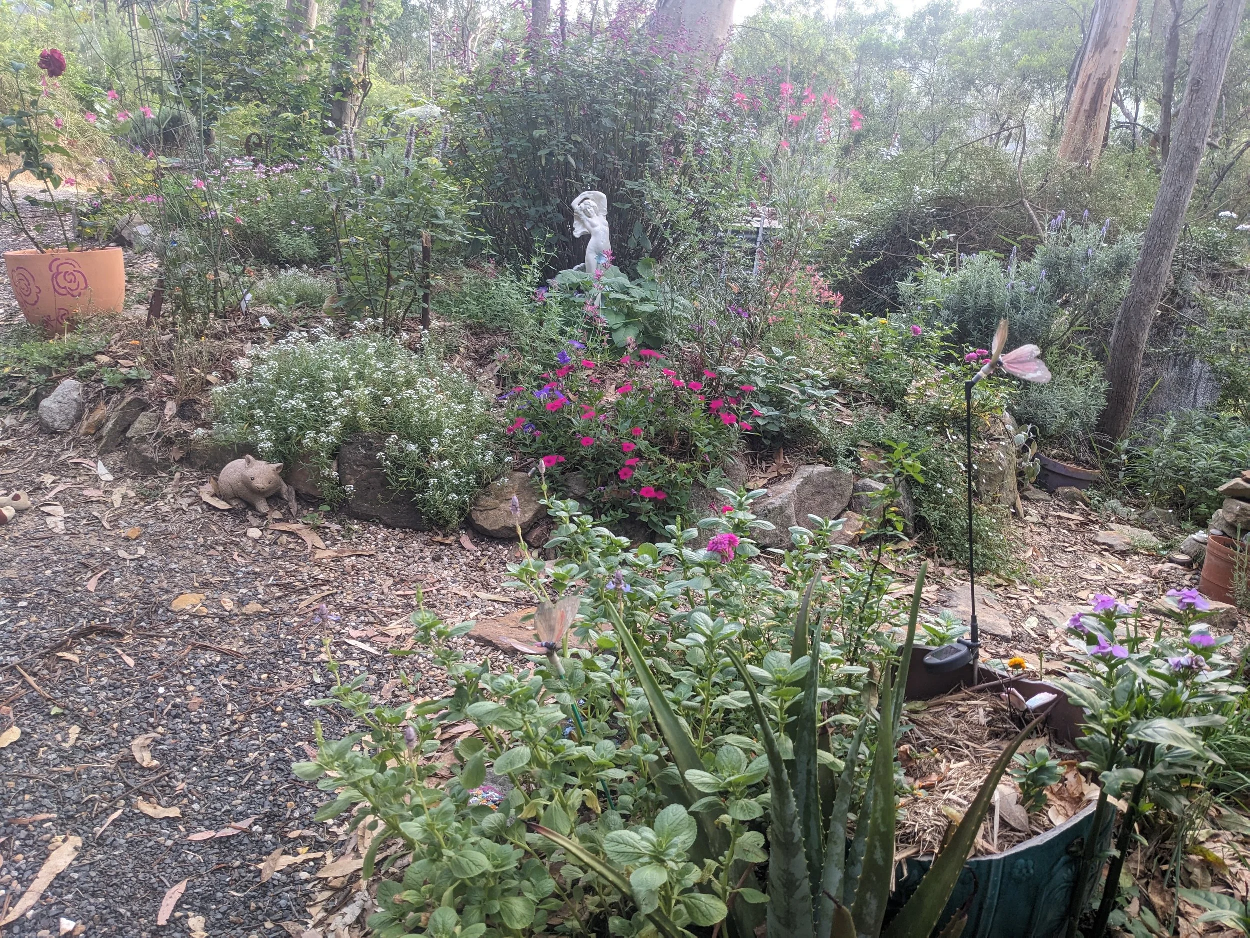 herbaceous border.jpg