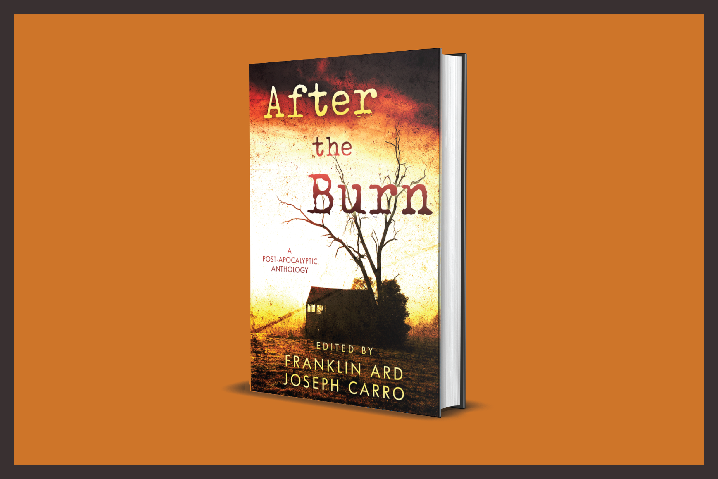 New Fiction Anthology - Out Now!