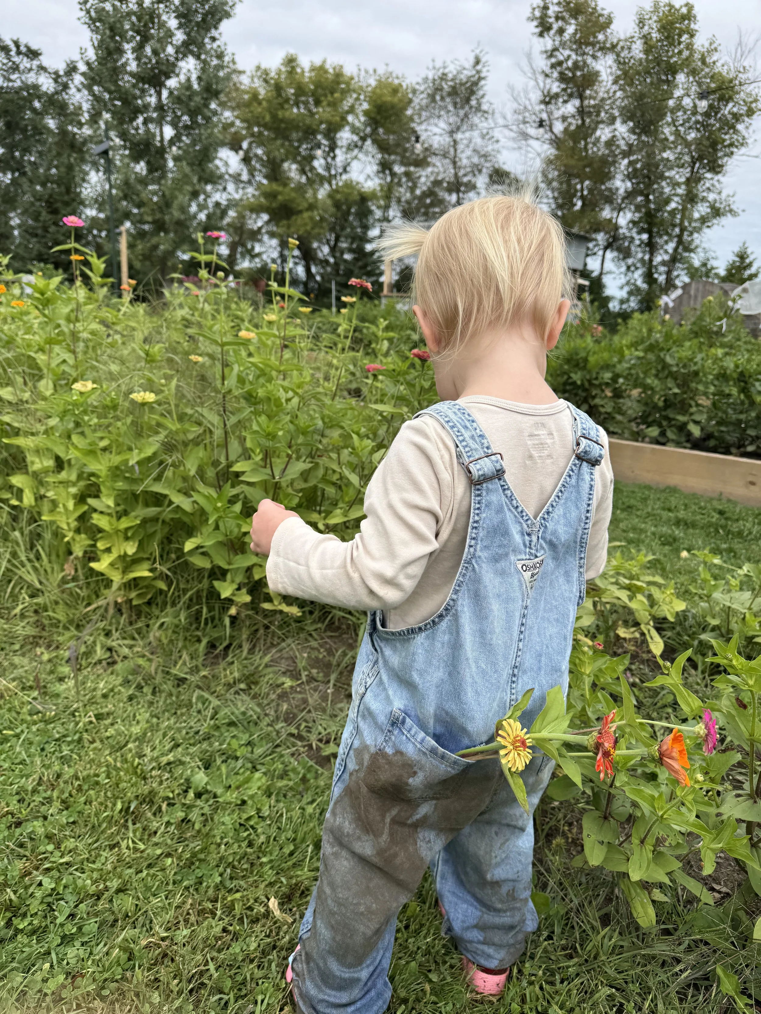 IMG_9297 (1).jpeg
