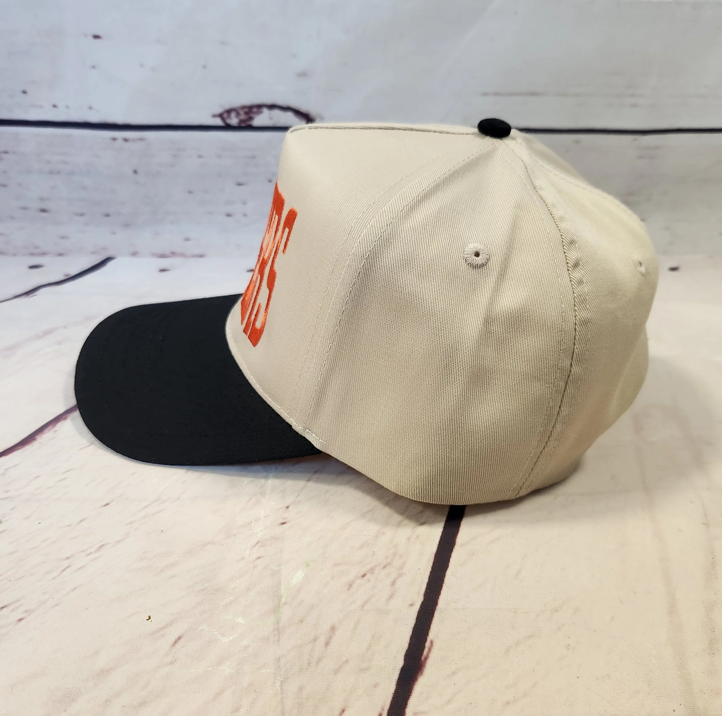 Panthers5panel03.jpg