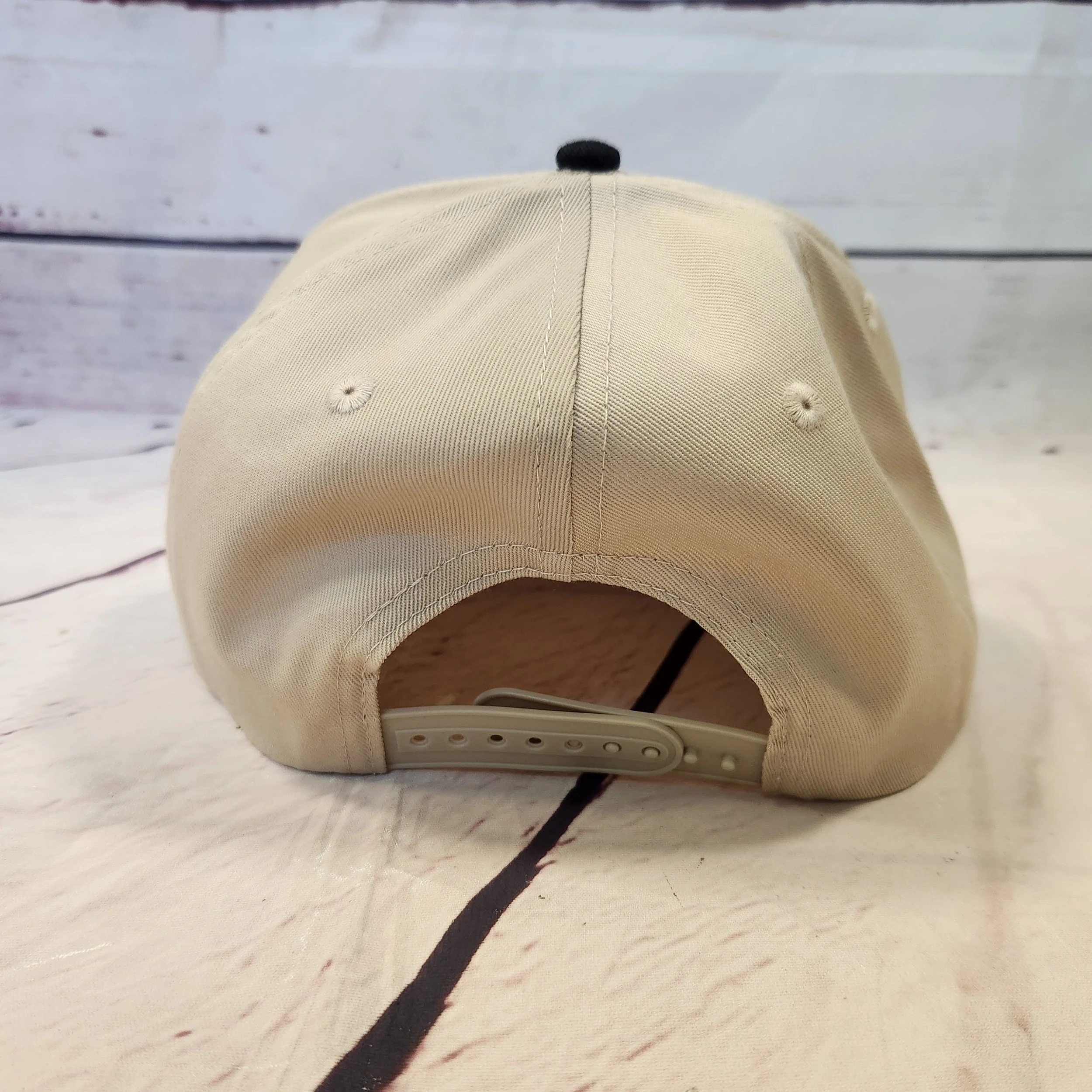 Panthers5panel04.jpg