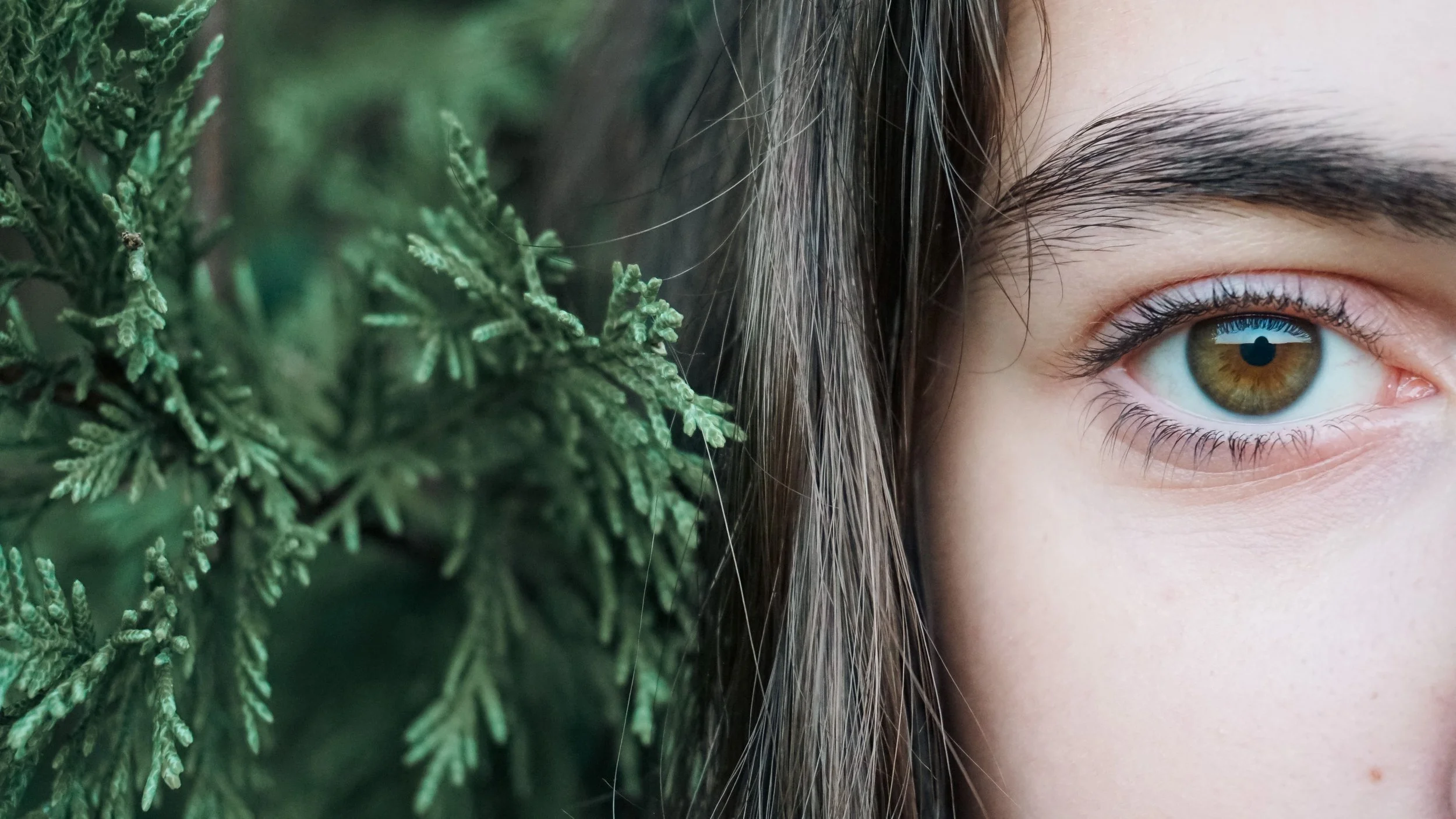 EMDR: A path from trauma to healing