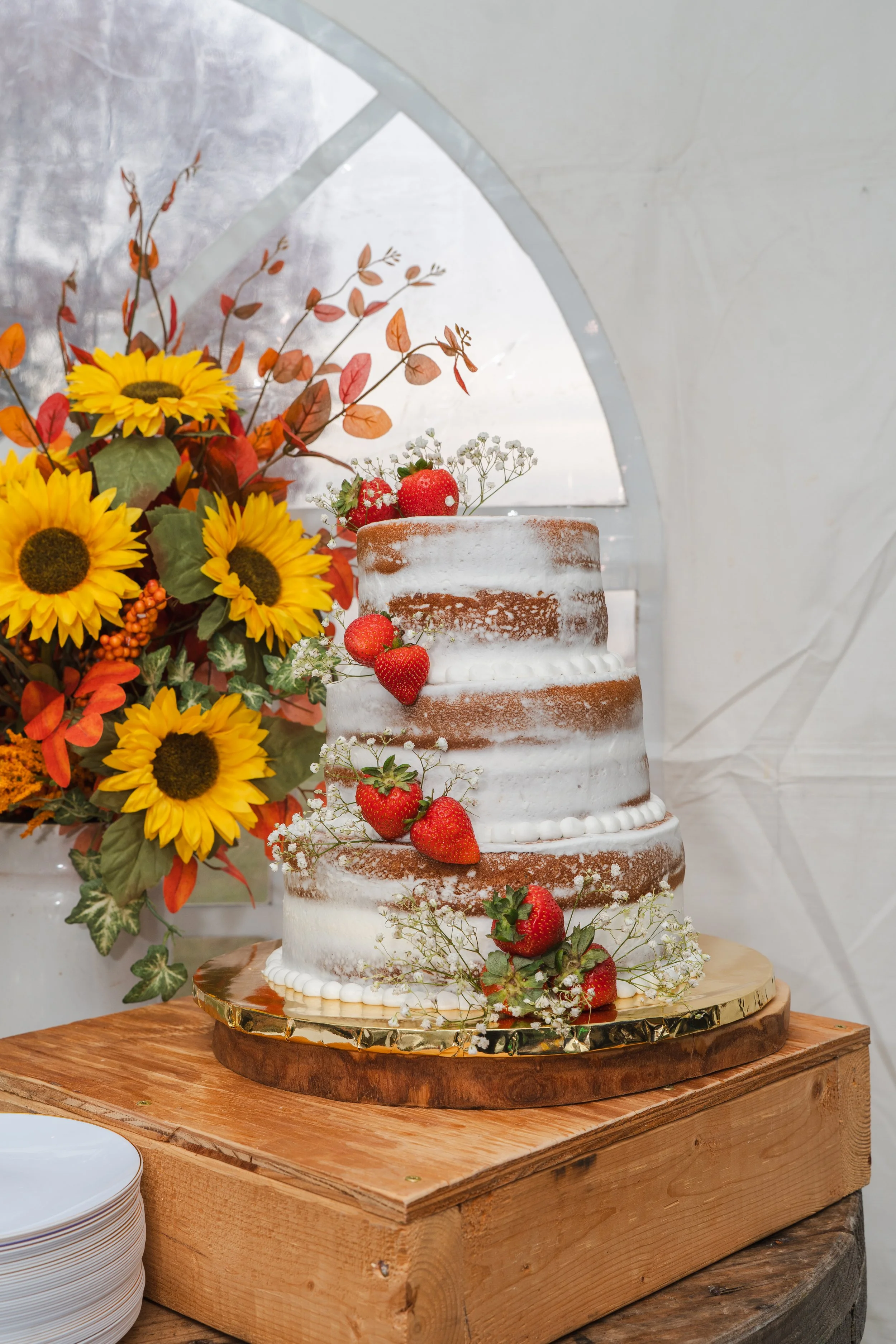 Cory & Thomas Wedding Photos-470.jpg