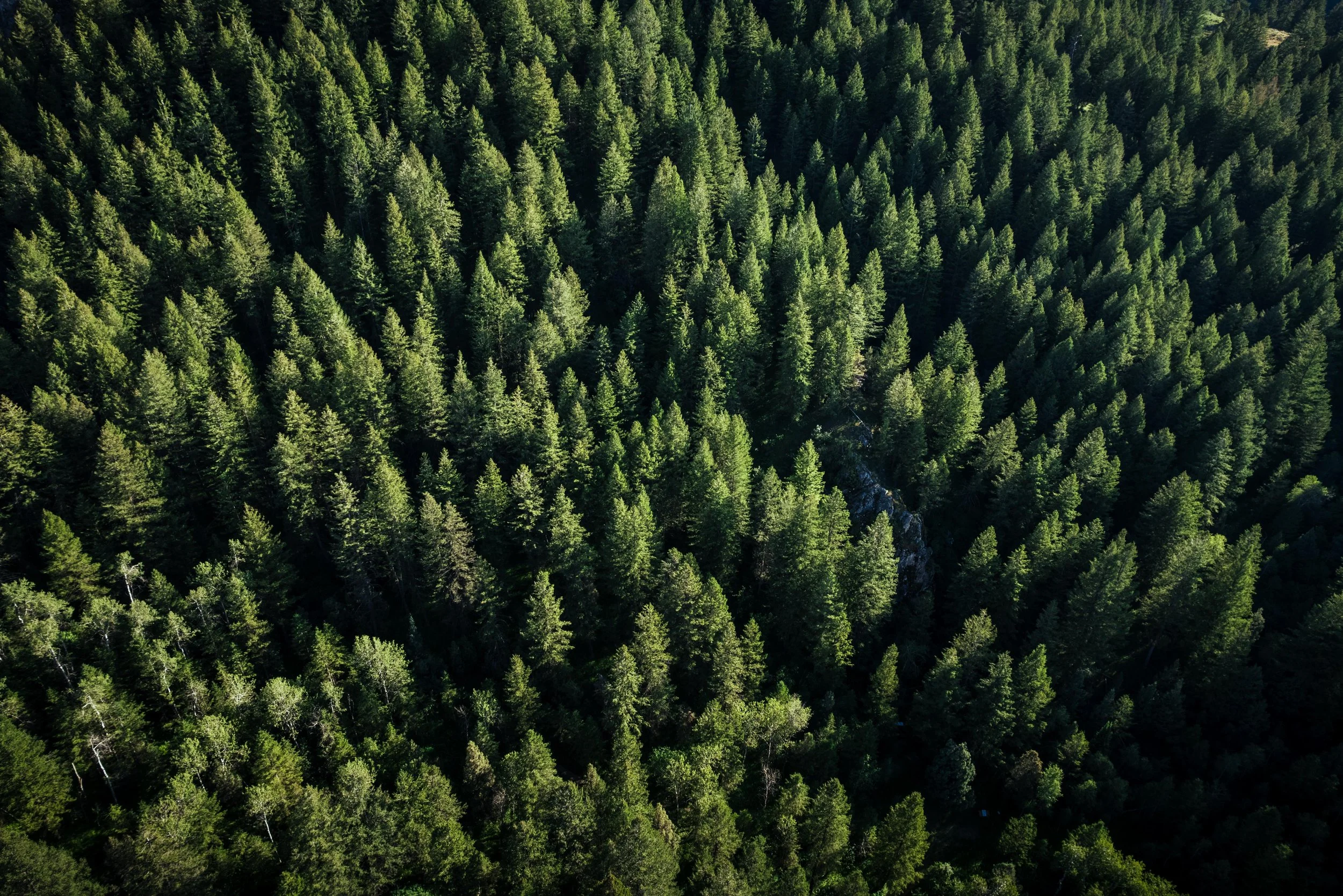 DJI_0094 50% Quality.JPG