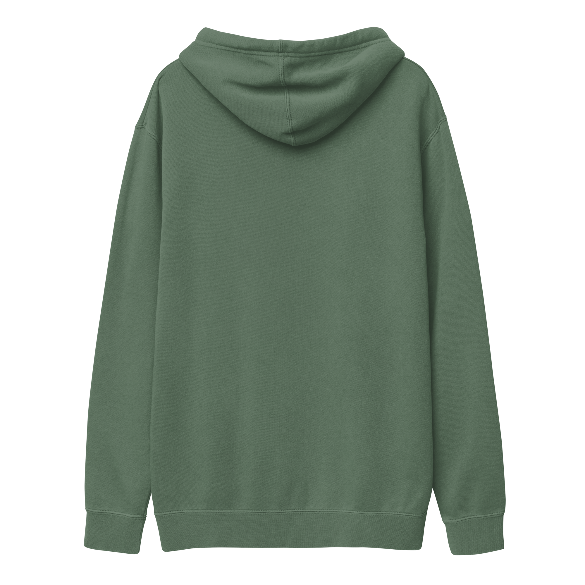 unisex-pigment-dyed-hoodie-pigment-alpine-green-back-6a2d93eb254cf.png