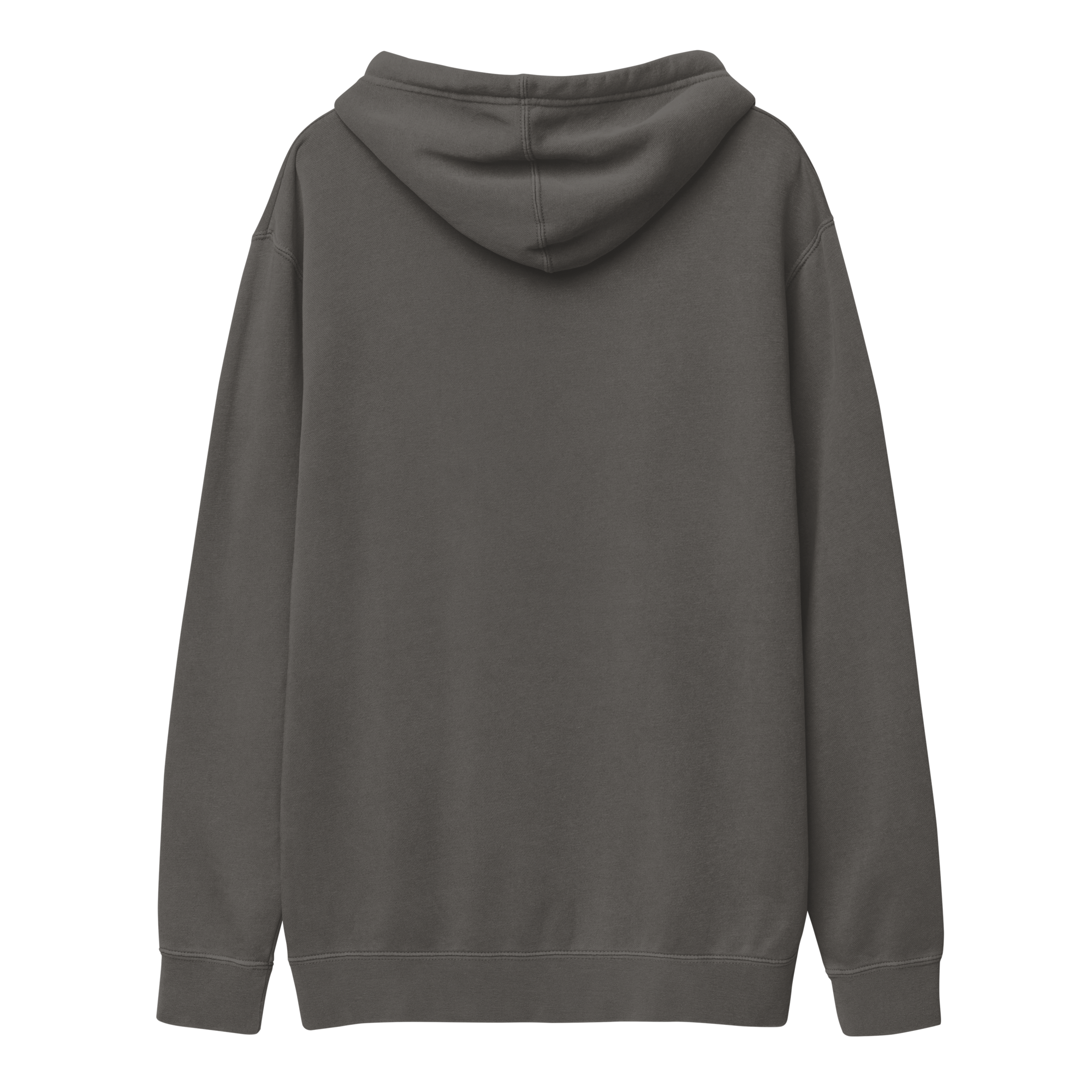 unisex-pigment-dyed-hoodie-pigment-black-back-6a2d93eb2557b.png