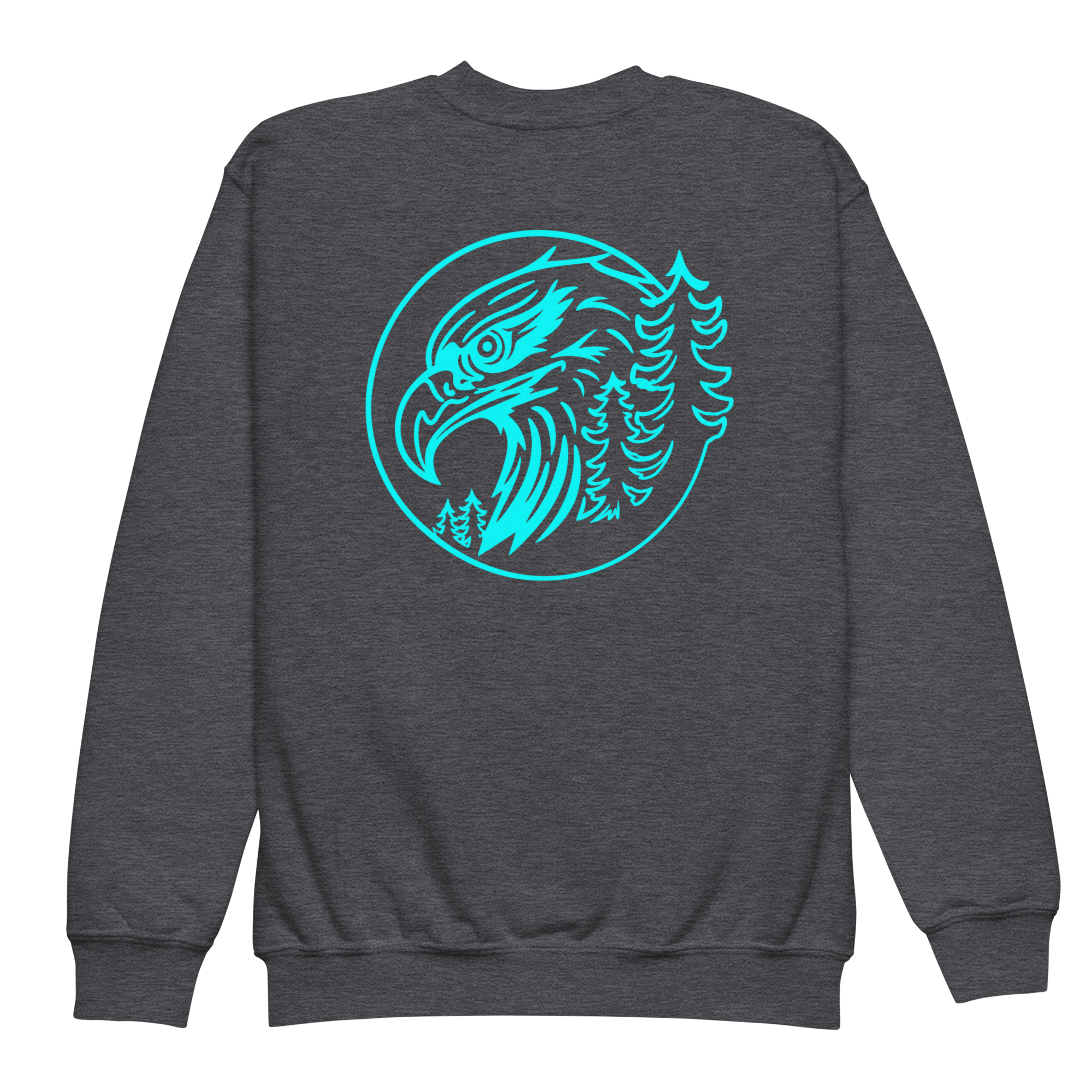 youth-crew-neck-sweatshirt-dark-heather-back-6a2da0f7477f1.png
