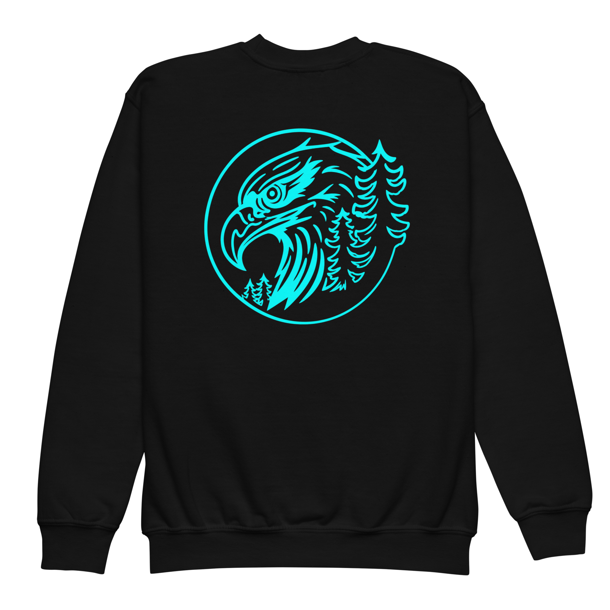 youth-crew-neck-sweatshirt-black-back-6a2da0f747778.png