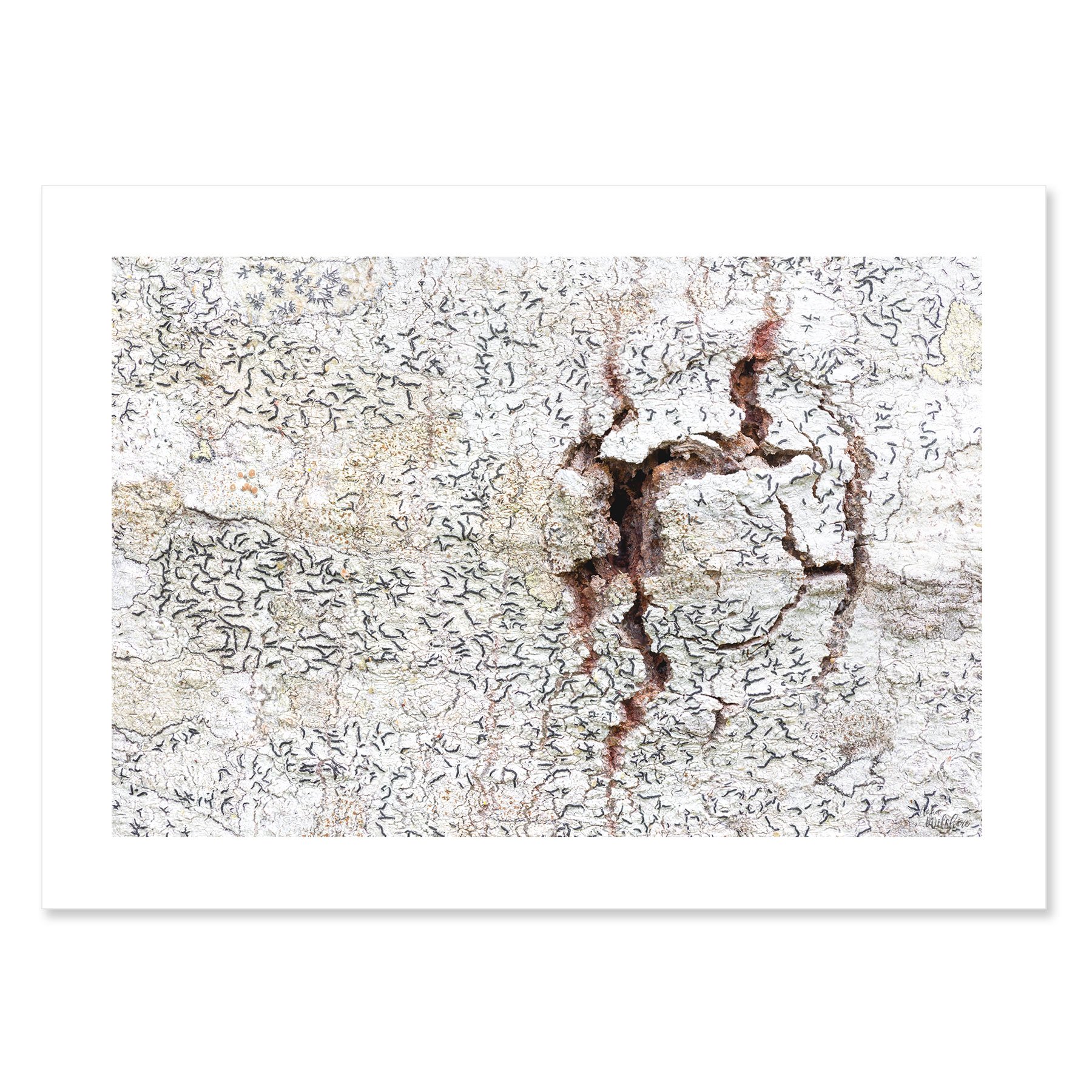 Fractured-NB.jpg