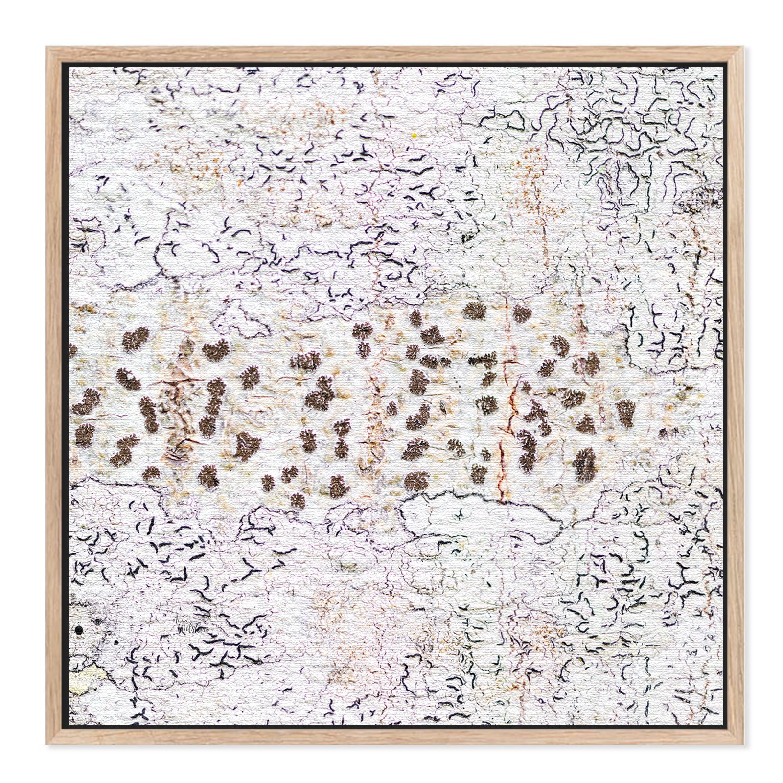 Dots-and-Squiggles-square-C.jpg