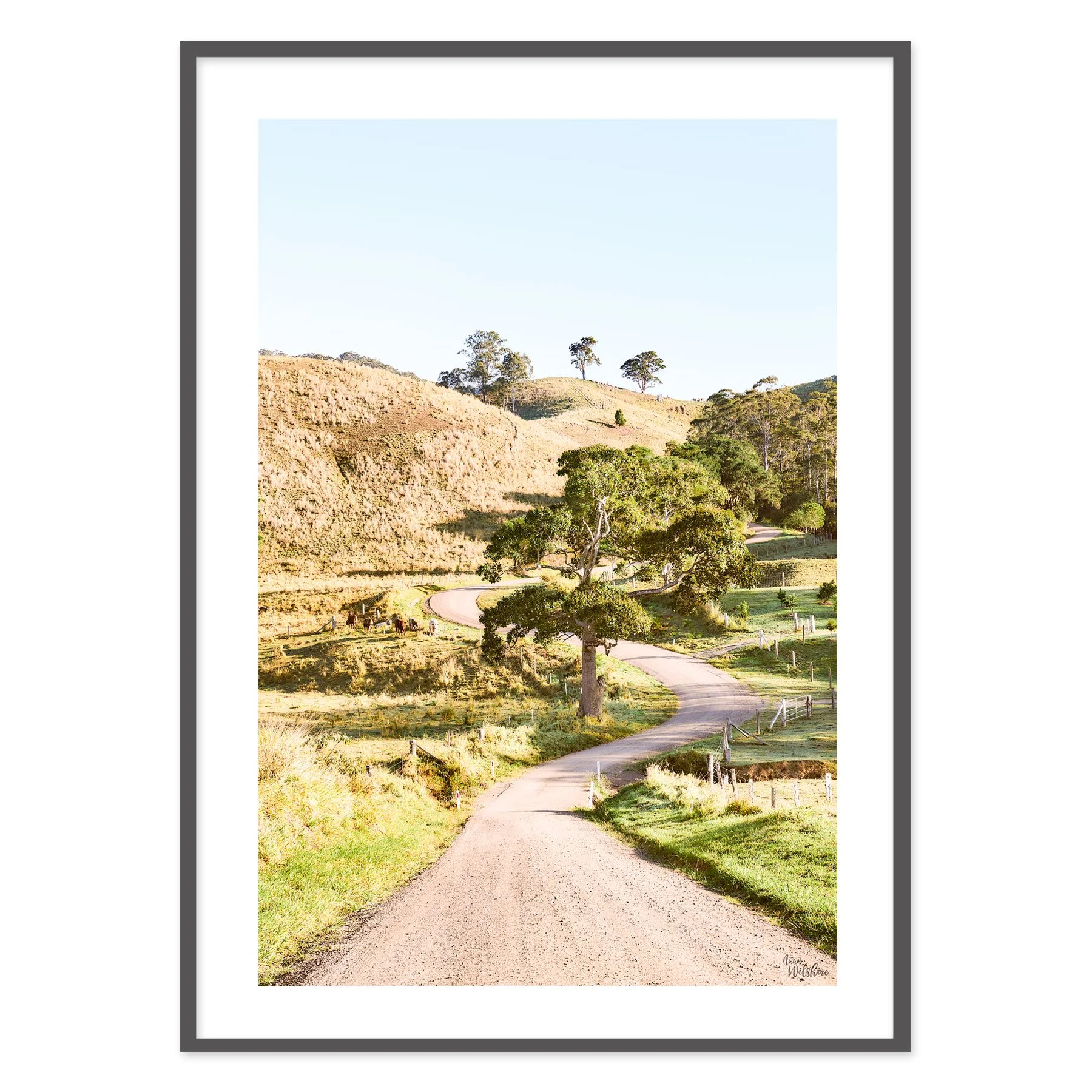 Country-Road-B.jpg