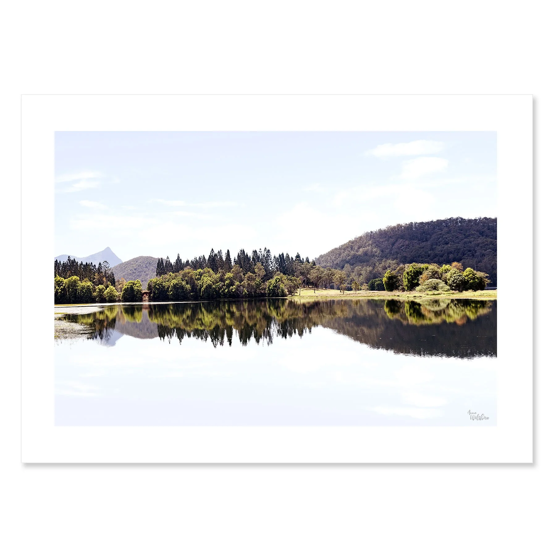 Reflection-1-NB.jpg