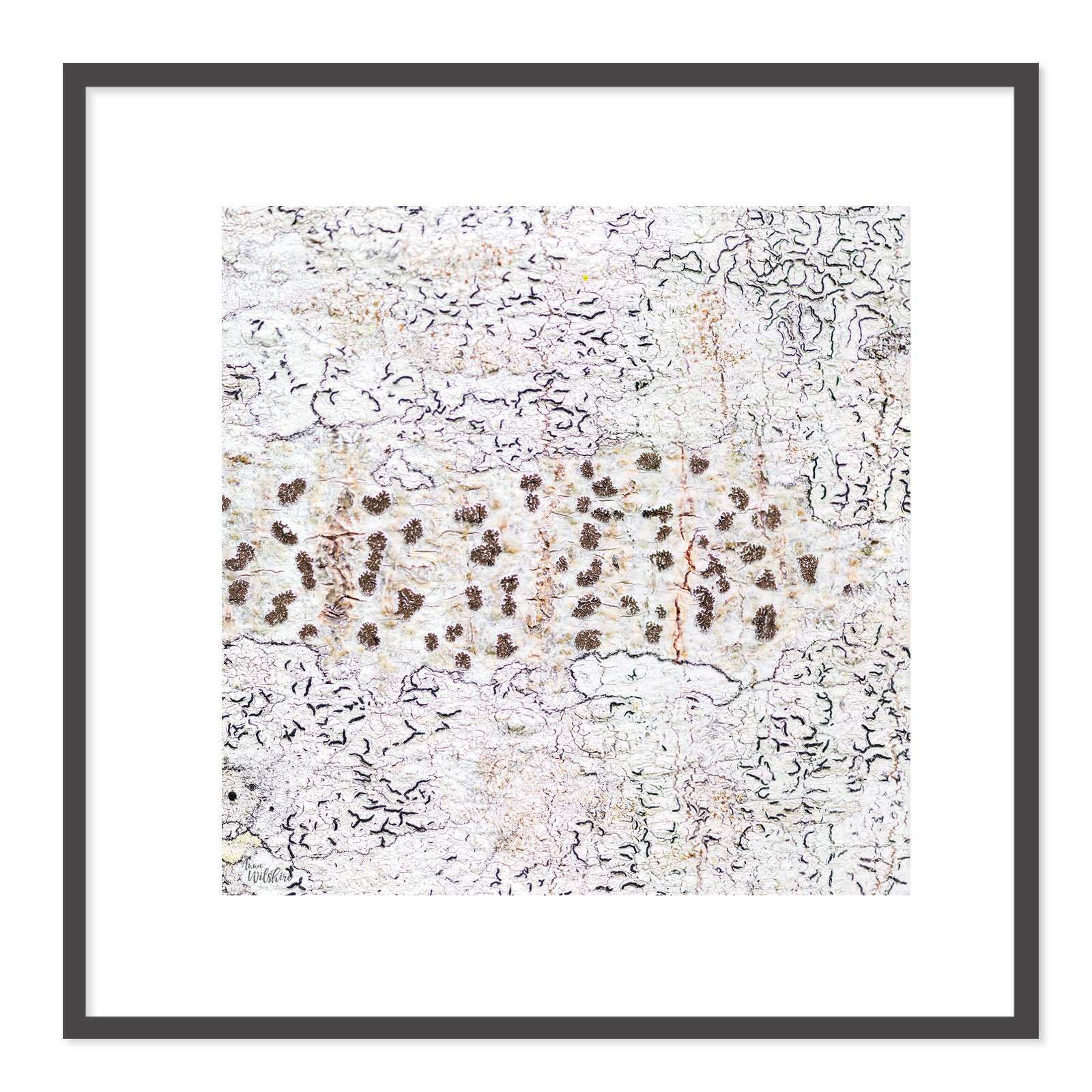 Dots-and-Squiggles-square-B.jpg