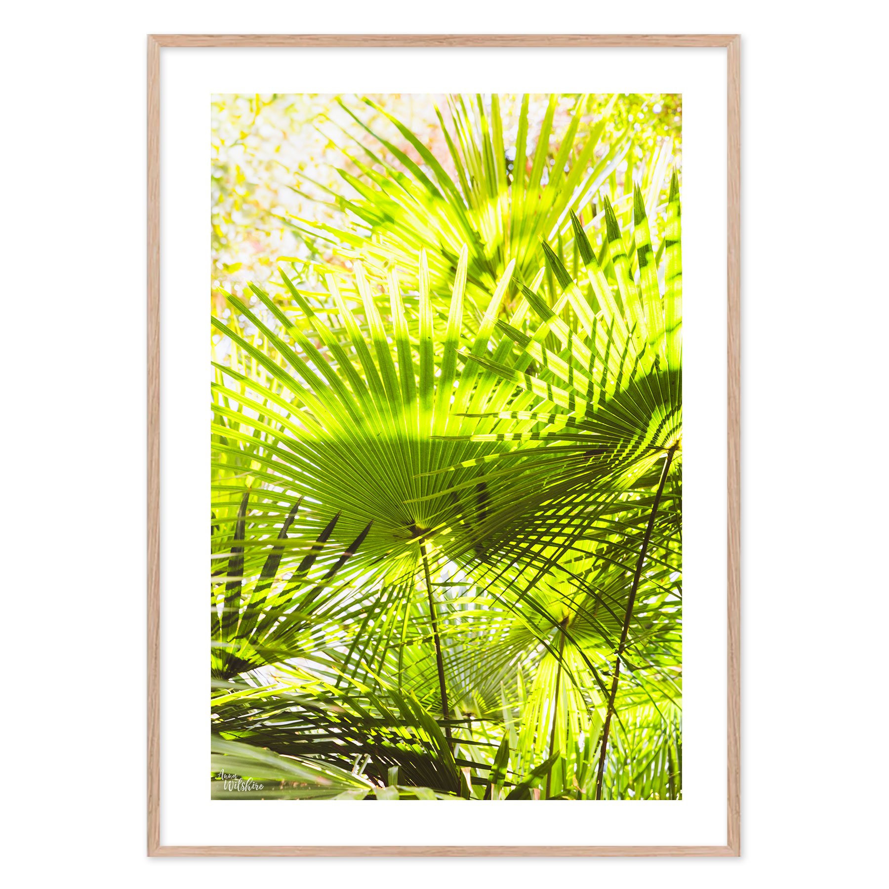 Green-Lines-2-T.jpg