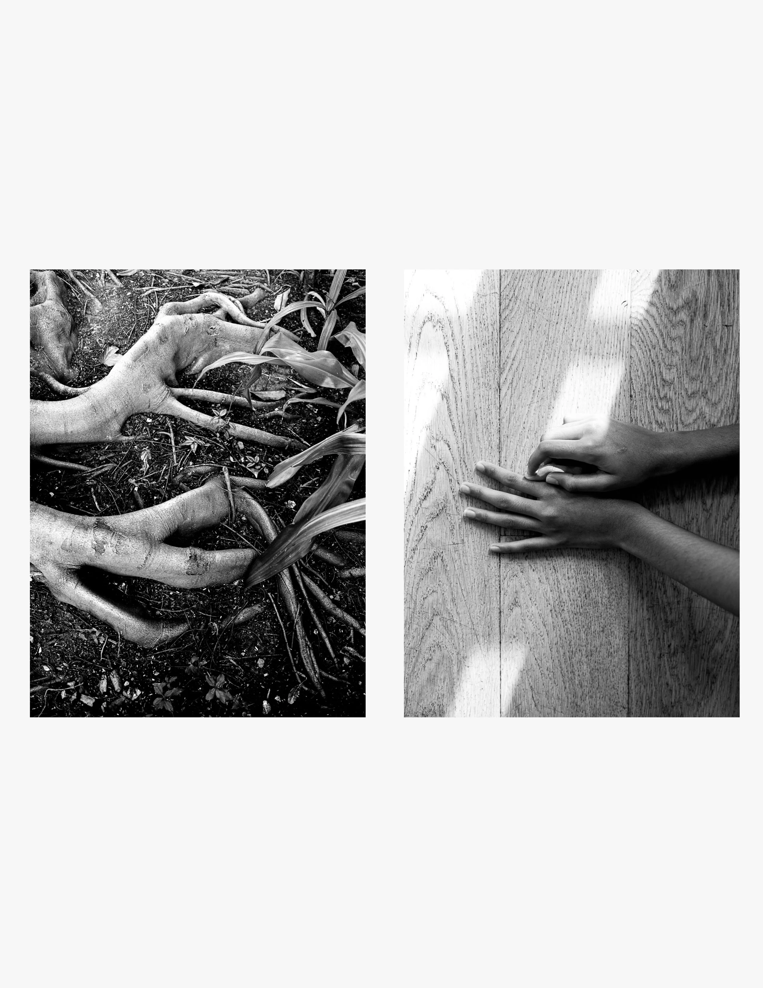 PritiGanatra-Song Of The Trees 1.jpg