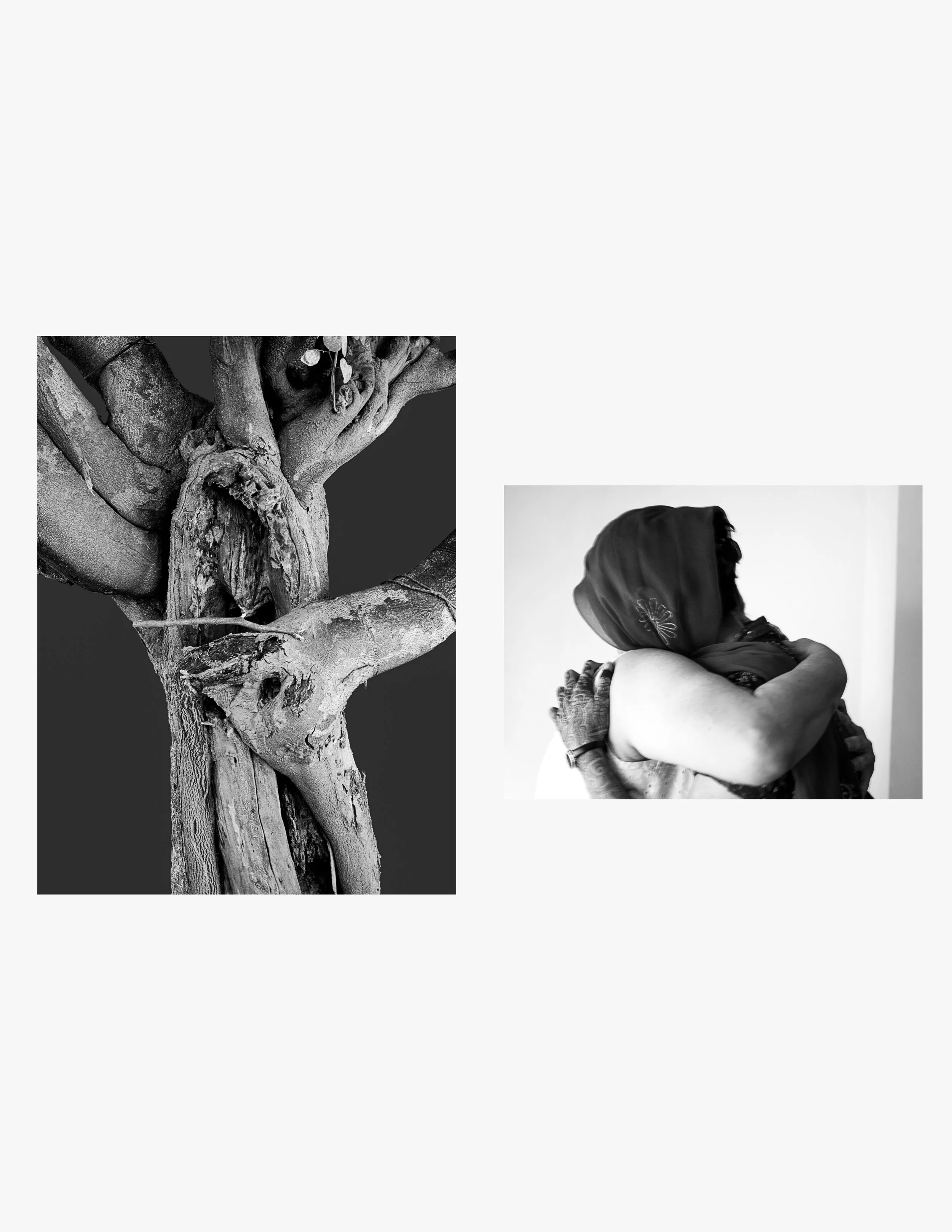 PritiGanatra-Song Of The Trees 10.jpg