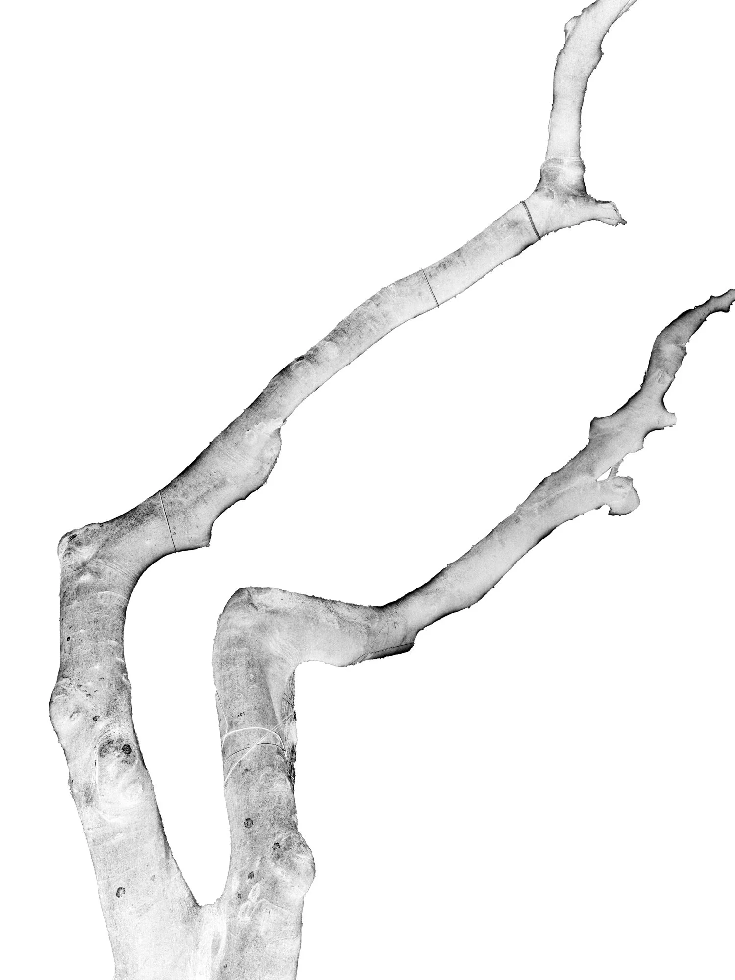 PritiGanatra-Nature our morther-3.jpg