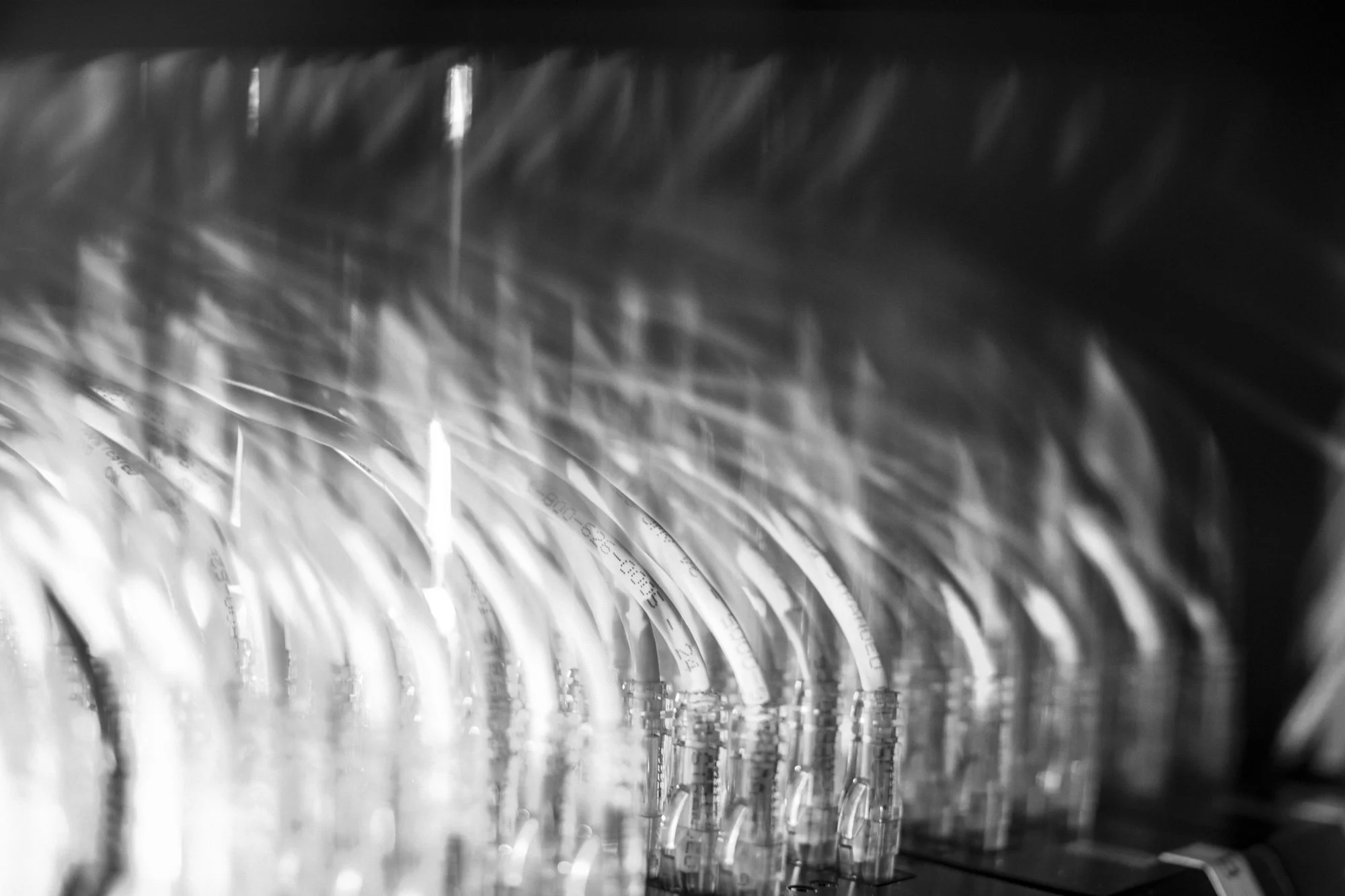 image-asset copy.jpeg