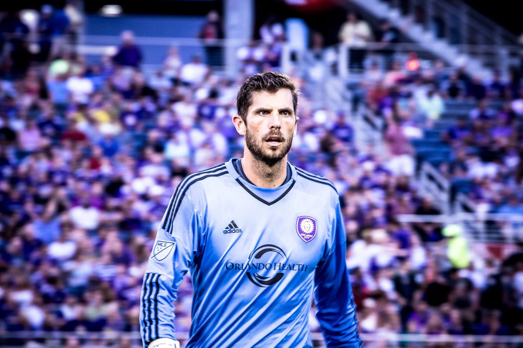 Tally_Hall_MLS_ZRS.jpg