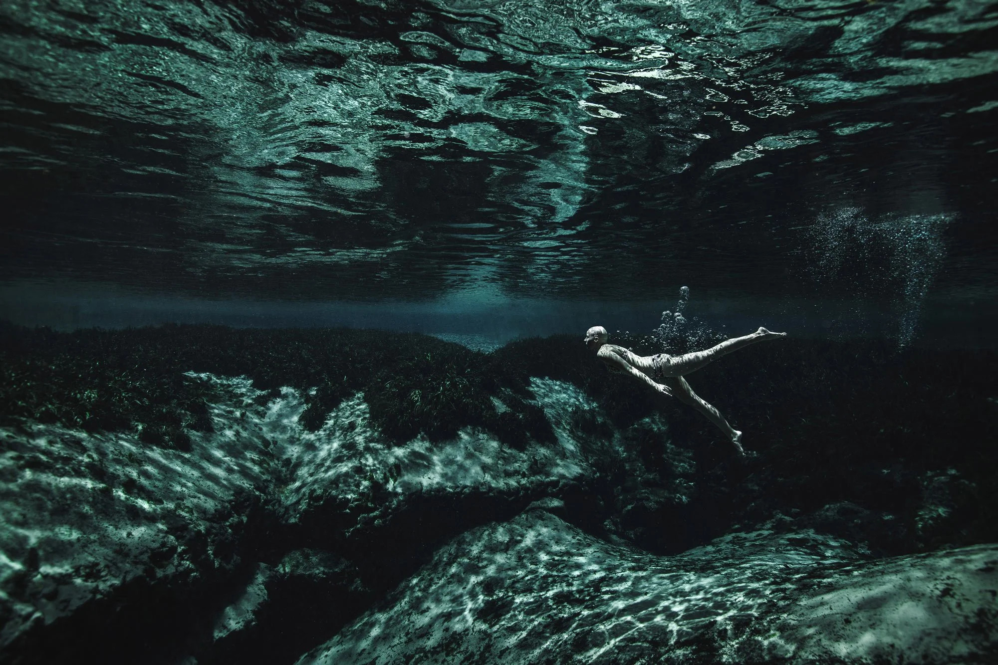springs-diving-scheffer.jpg