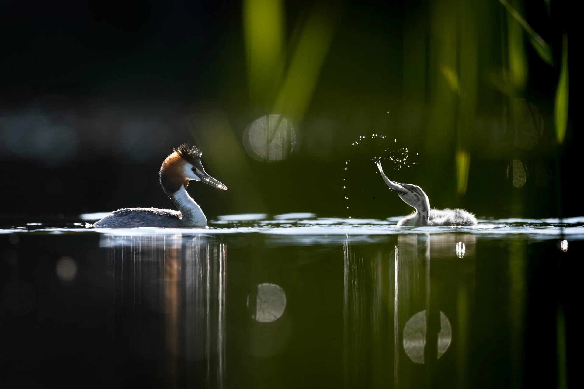 Pitää syödä, että jaksaa